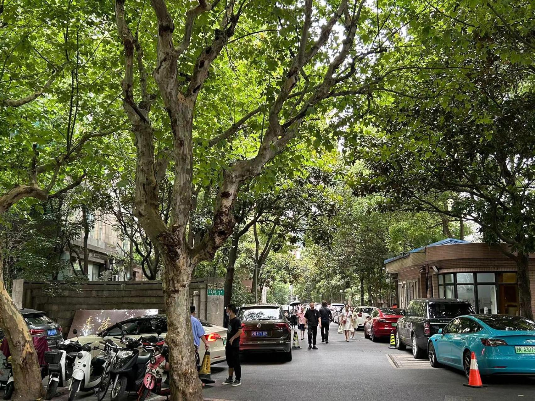 Yi Du Home with City View - Family Suite 500m to Nanjing West Rd Near People's Square -Credit Cards Accepted