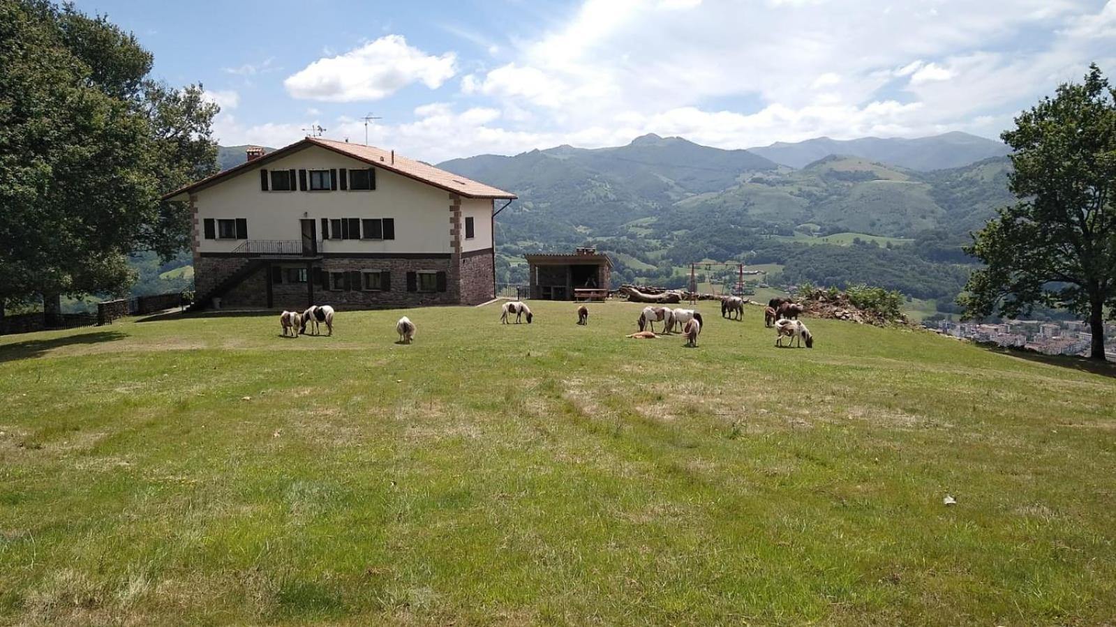 Autxikoborda view 4