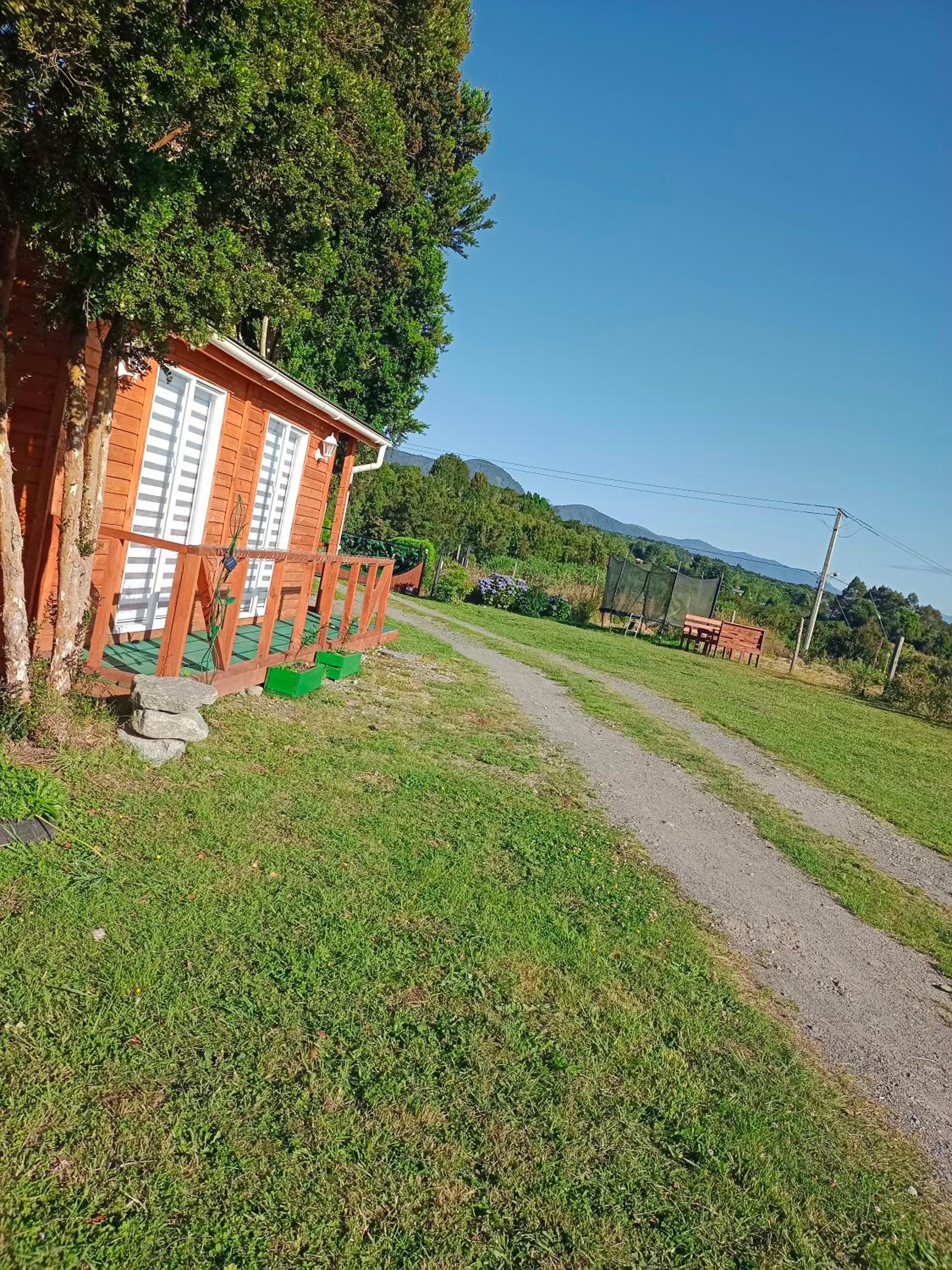 Cabaña entre árboles Carretera Austral