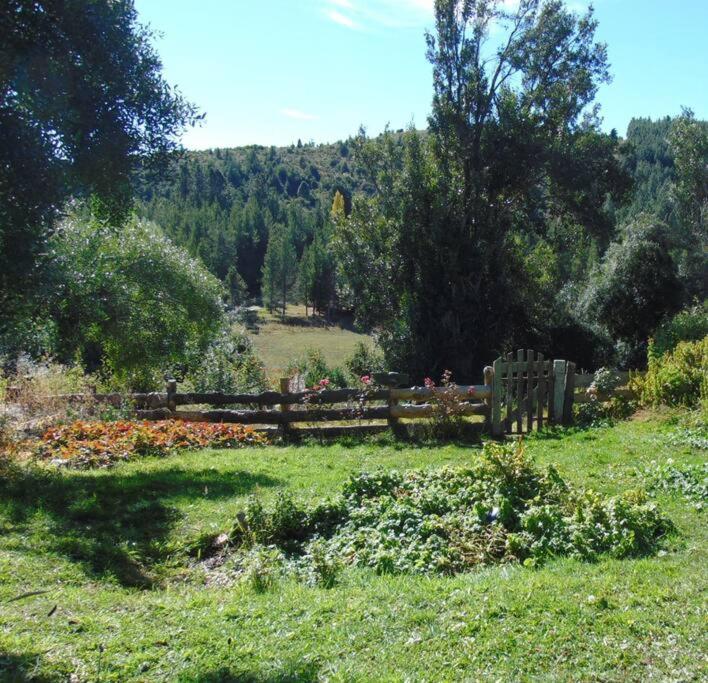 Casa de Campo, Bosque y Montaña