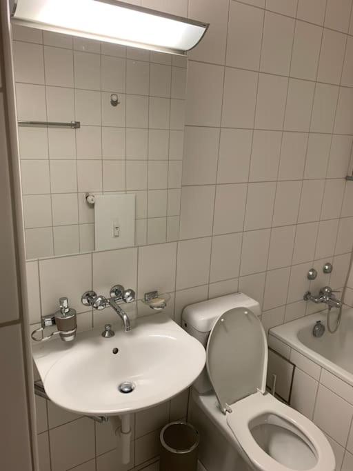 Cozy Flat in the Center of Kleinbasel