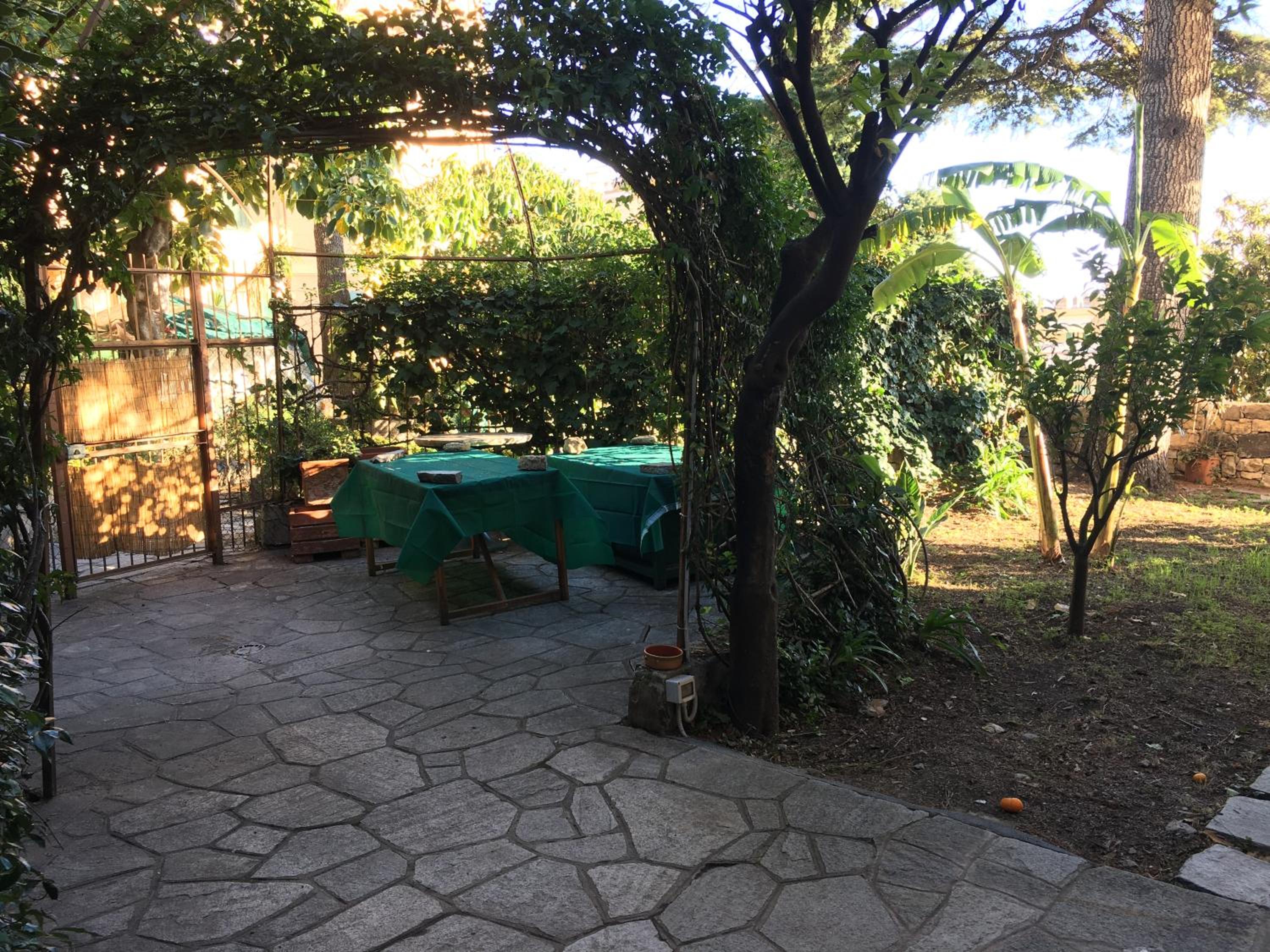 Photo 24
