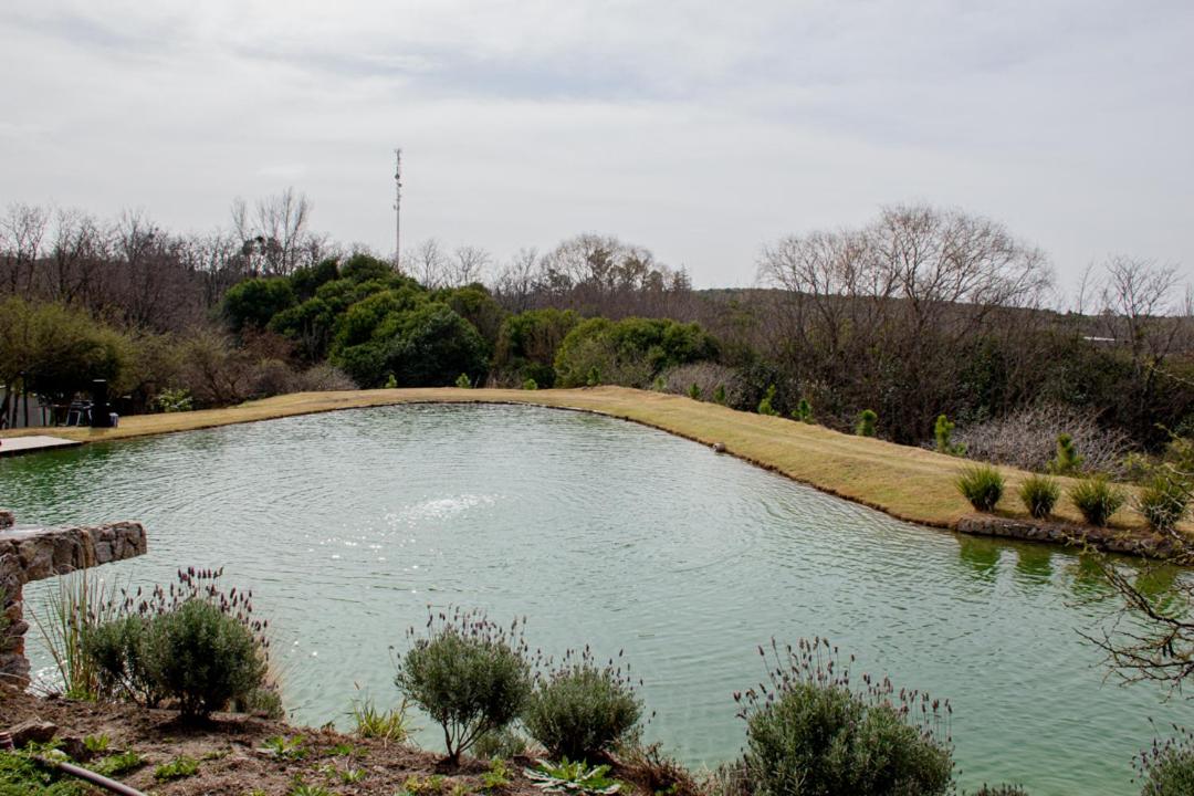Cabaña La Reserva Suite