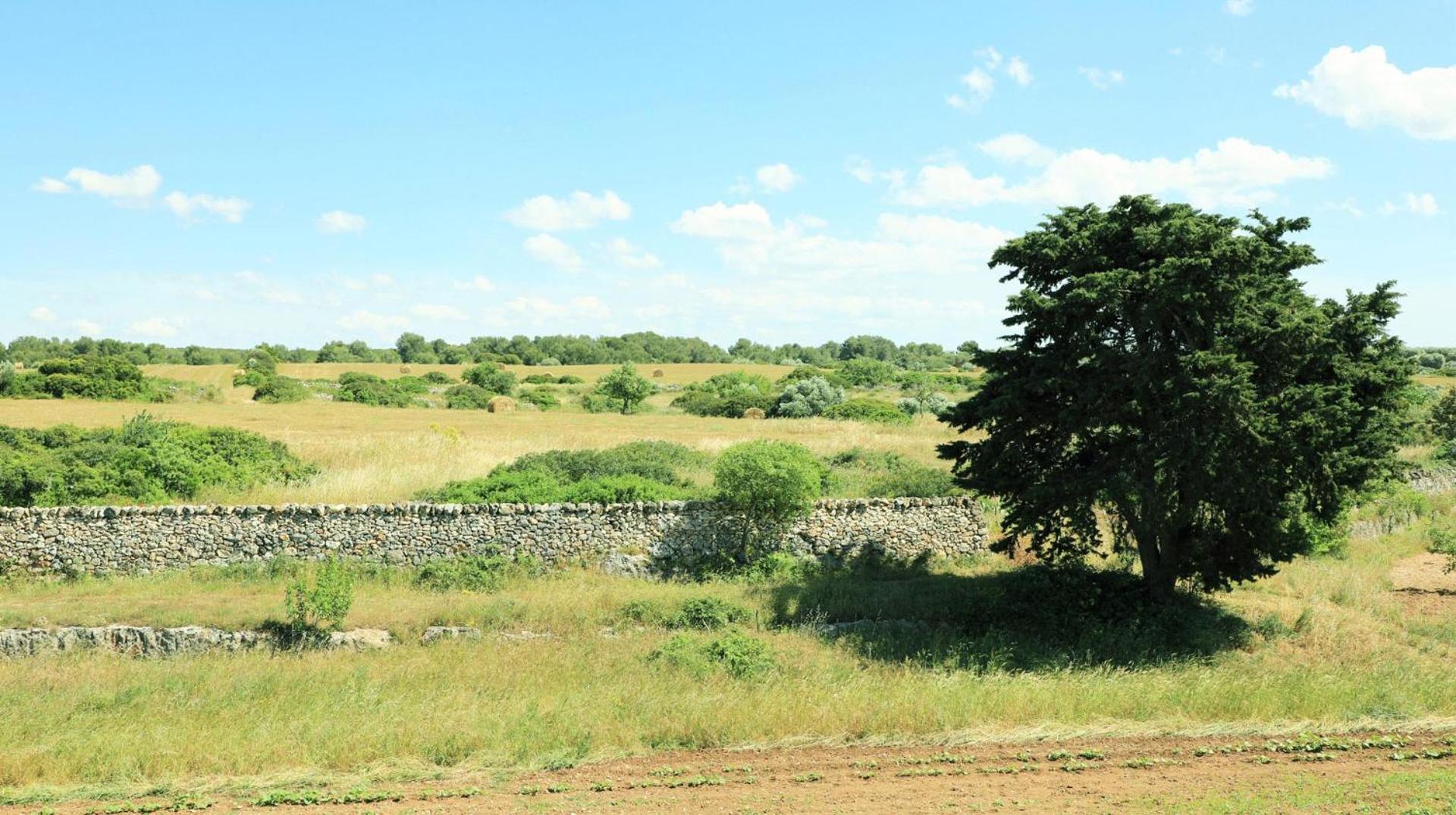 La Valle delle Rose