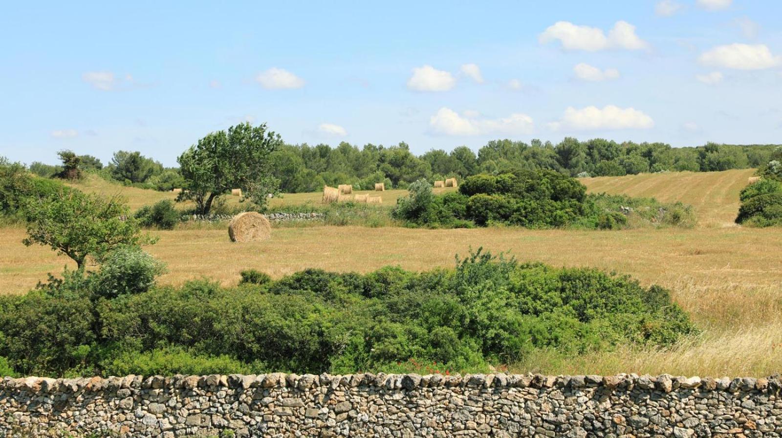 La Valle delle Rose