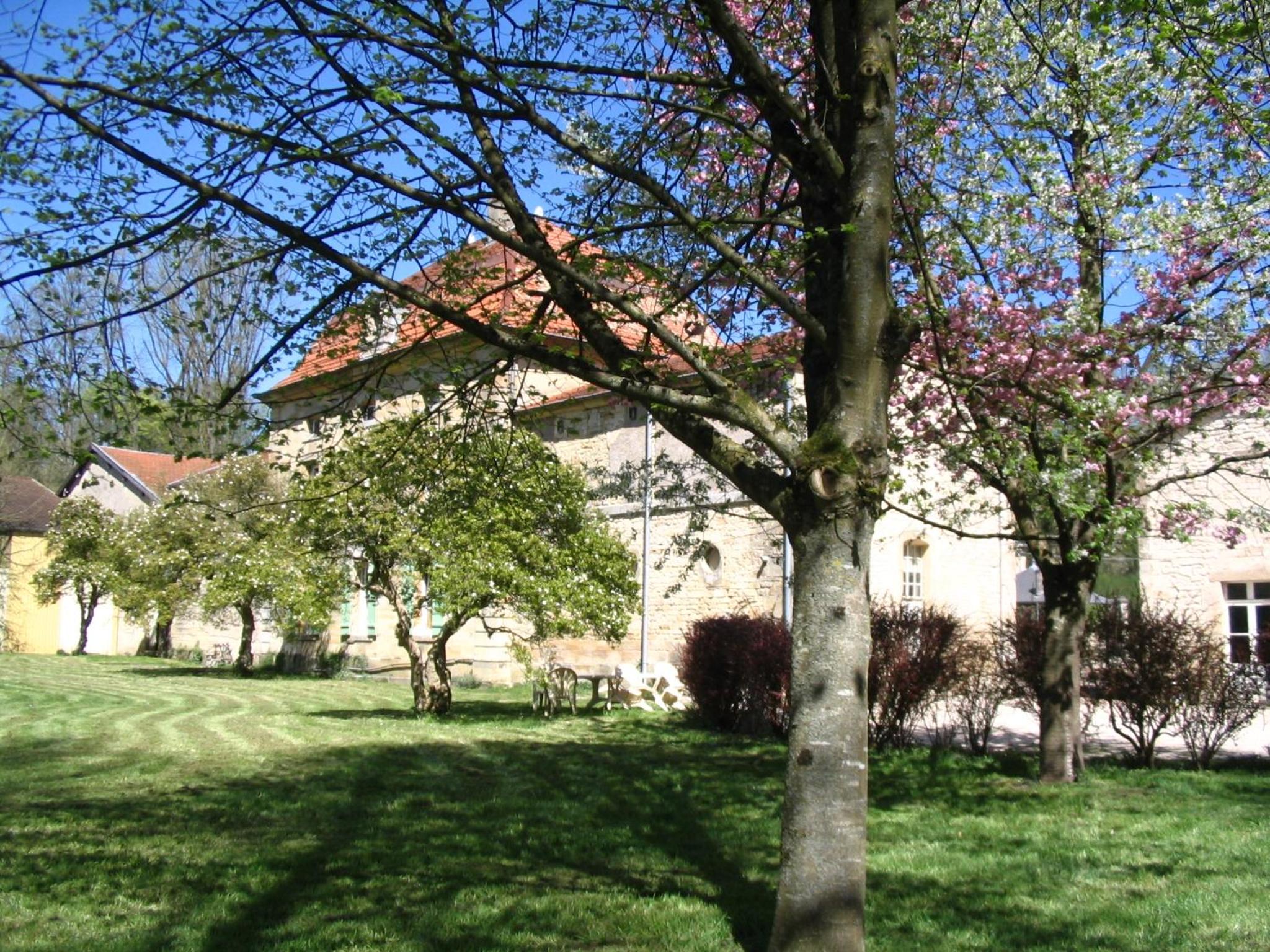 Photo 39