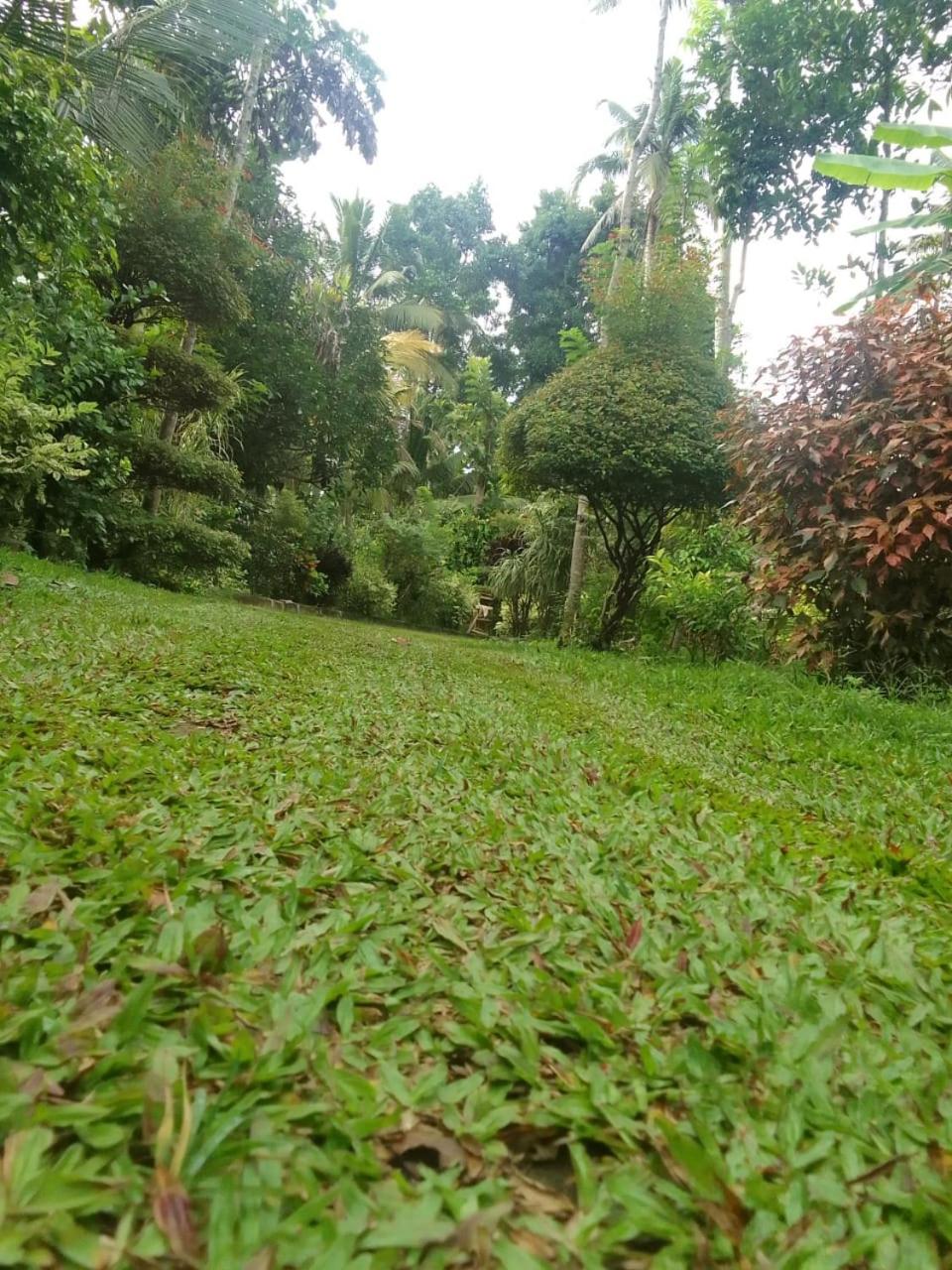 way point one bedroom house view 4
