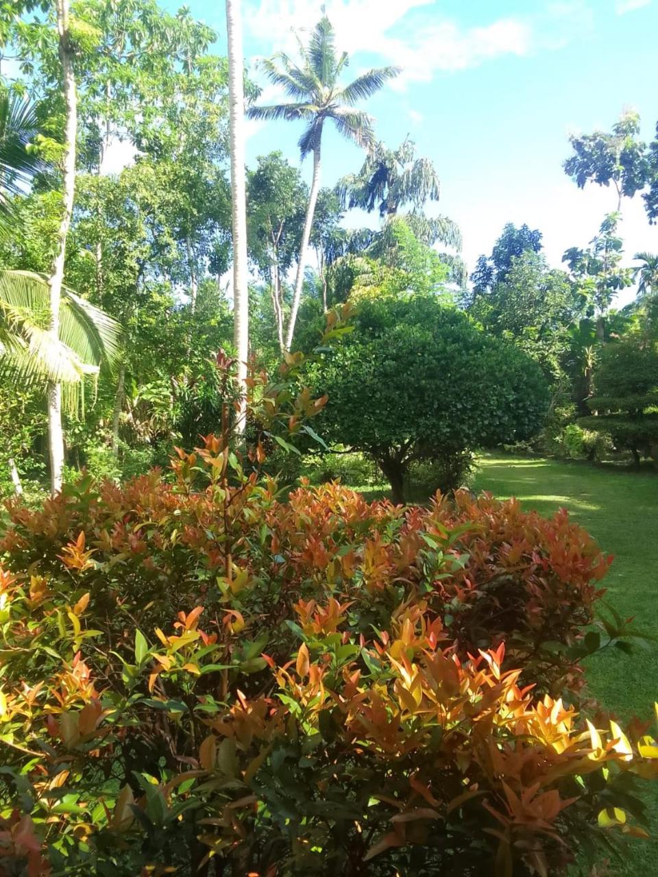 way point one bedroom house view 5