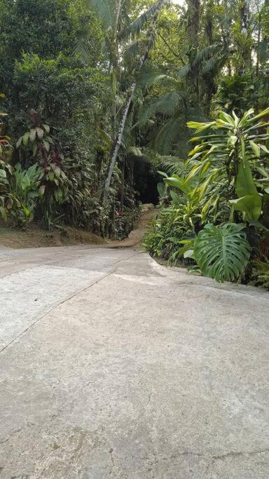 Casa Aconchegante em Morretes no meio da Natureza!