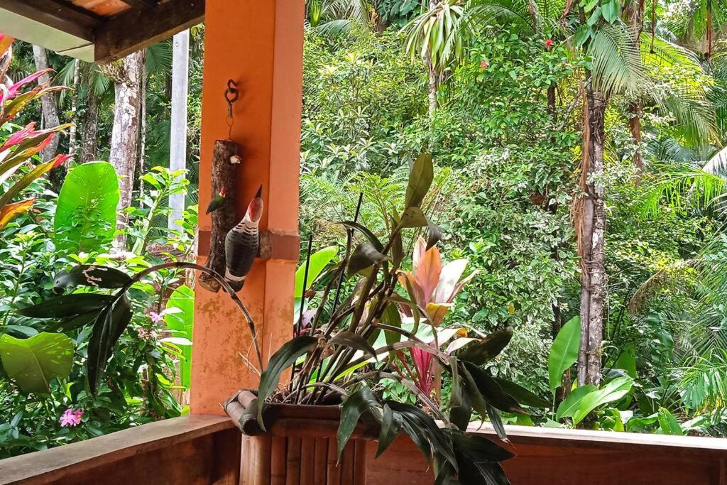 Casa Aconchegante em Morretes no meio da Natureza!