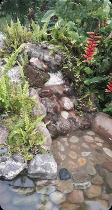 Casa Aconchegante em Morretes no meio da Natureza!