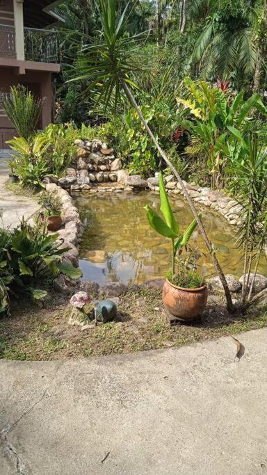 Casa Aconchegante em Morretes no meio da Natureza!