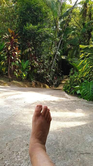 Casa Aconchegante em Morretes no meio da Natureza!