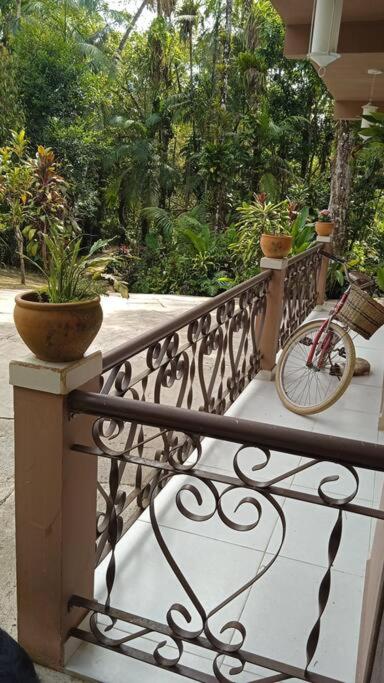 Casa Aconchegante em Morretes no meio da Natureza!