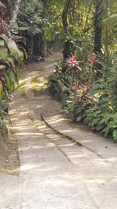 Casa Aconchegante em Morretes no meio da Natureza!