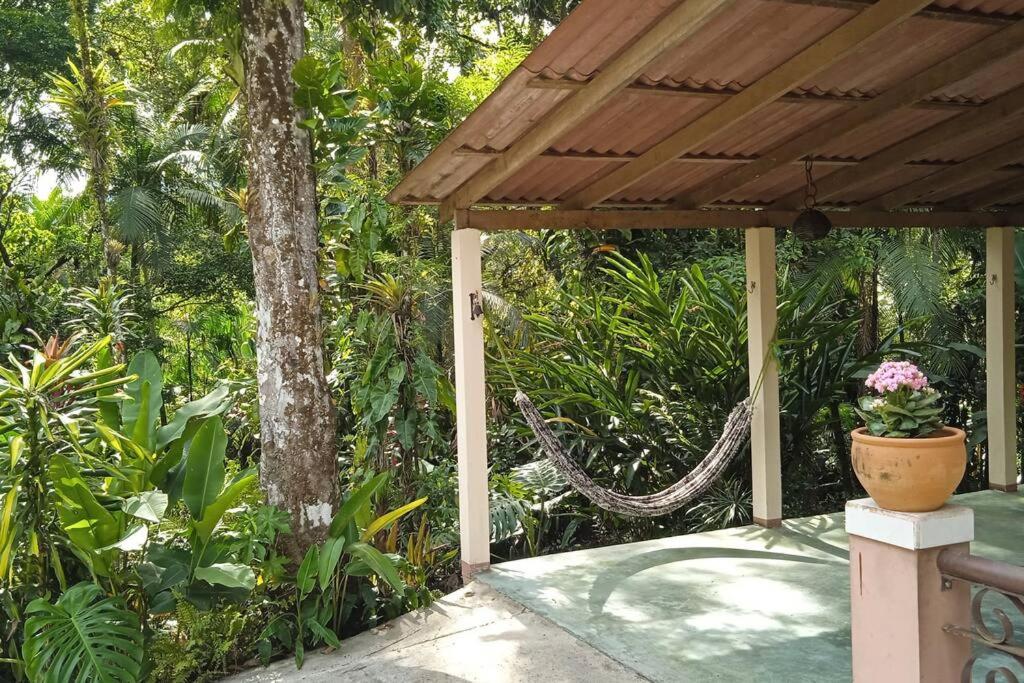 Casa Aconchegante em Morretes no meio da Natureza!
