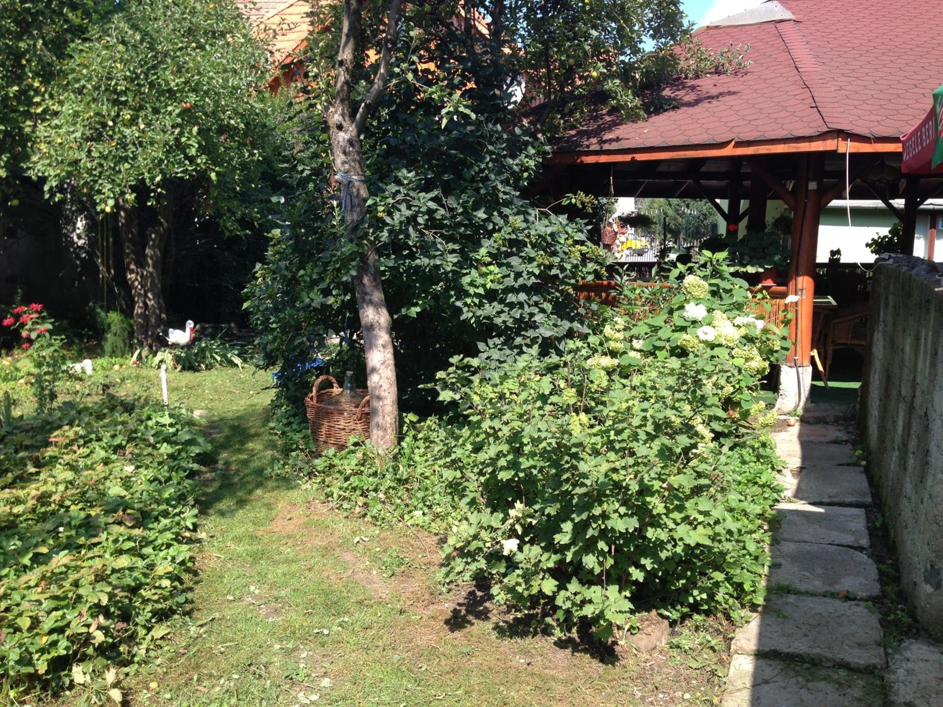 Photo 26