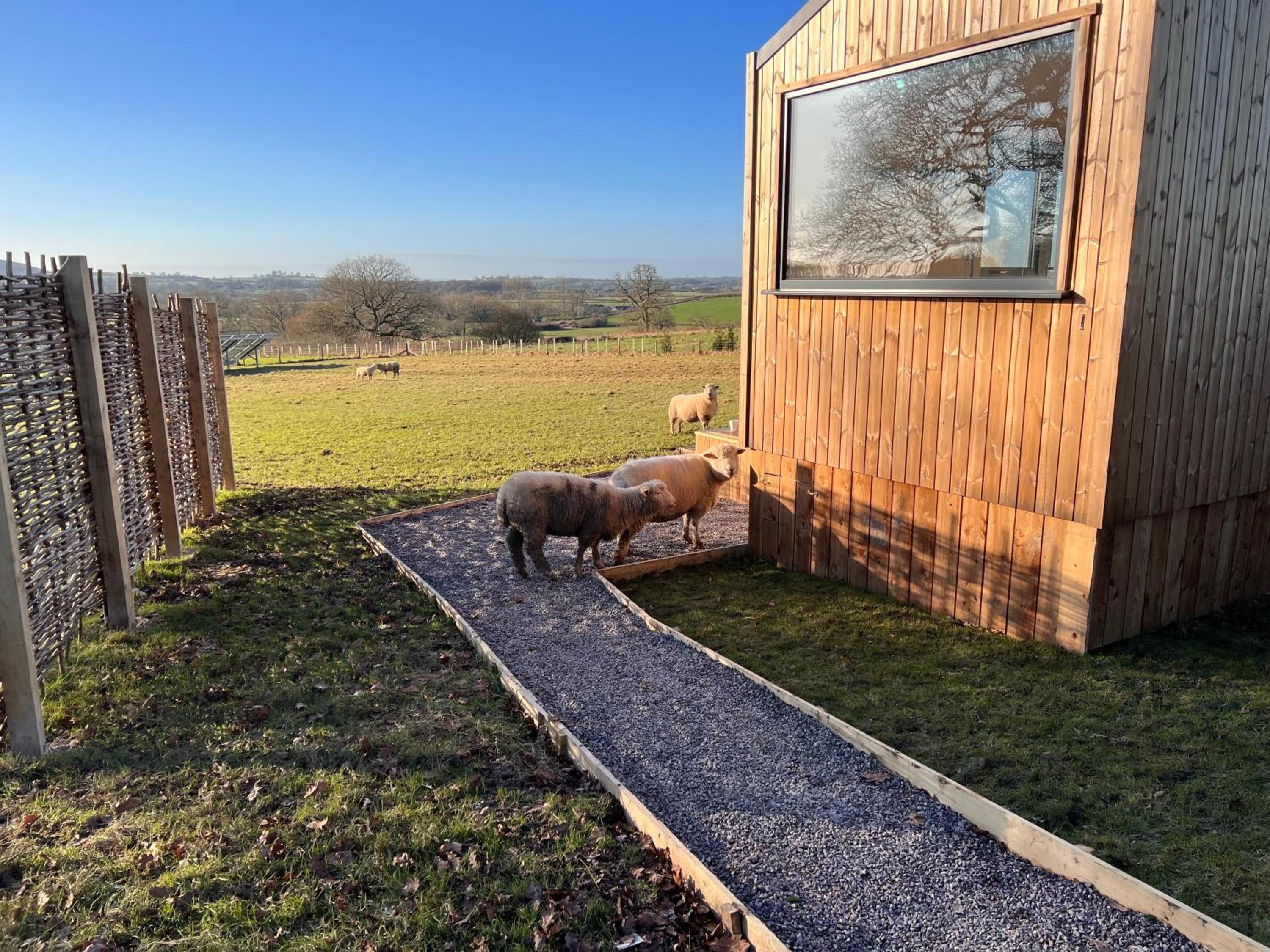 Beautiful cabins in Shaftesbury Dorset countryside