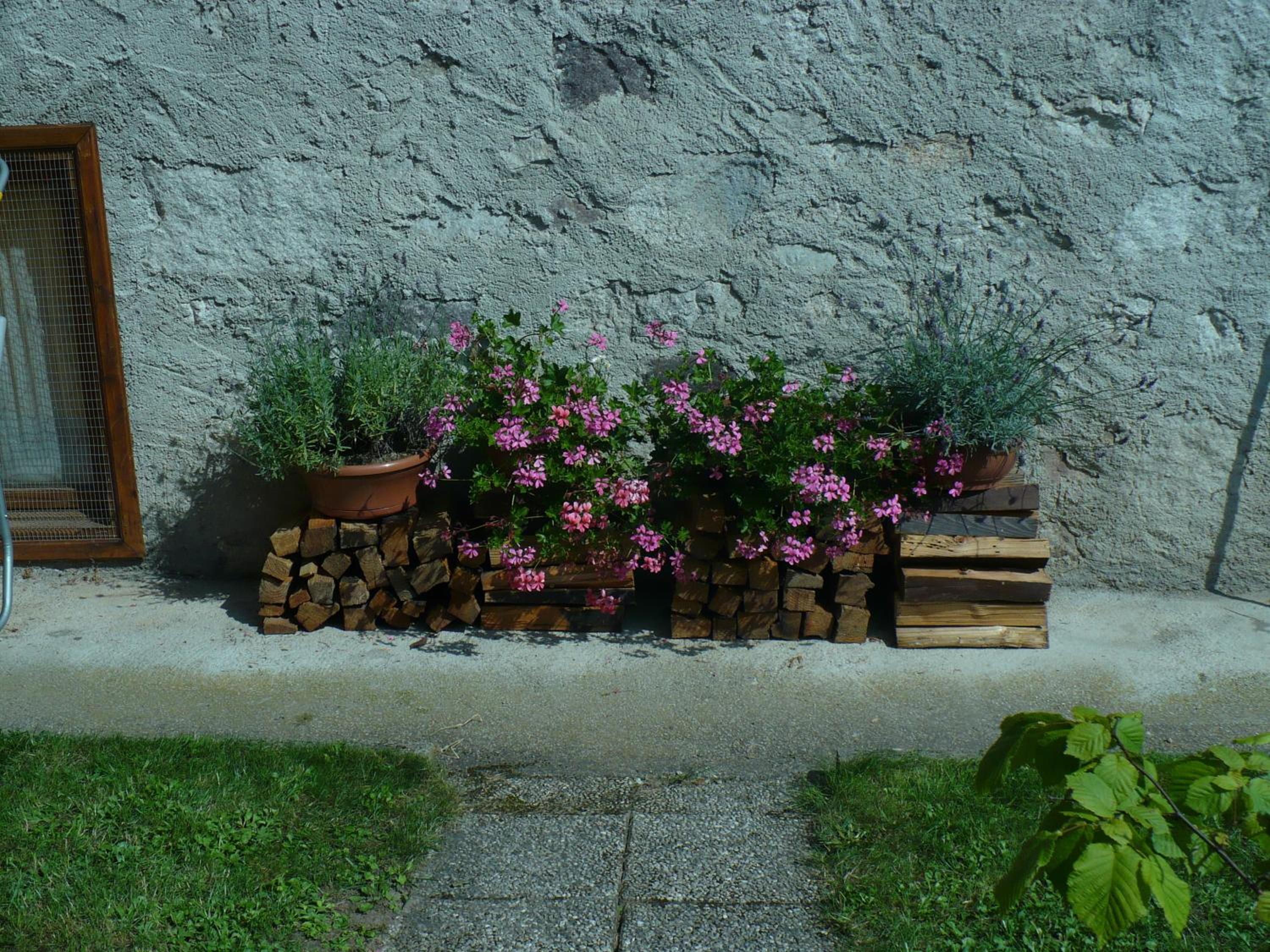 Photo 36
