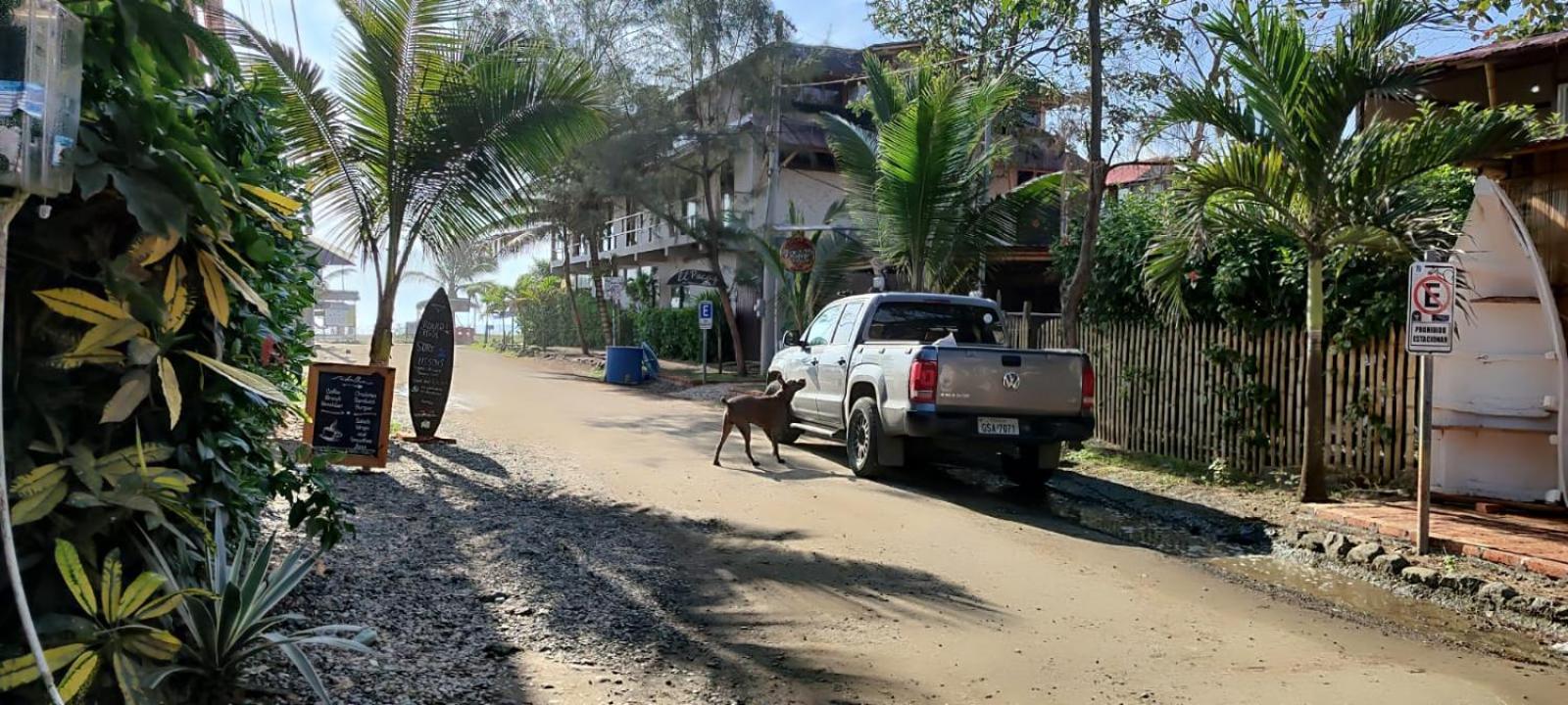 Casa travesia