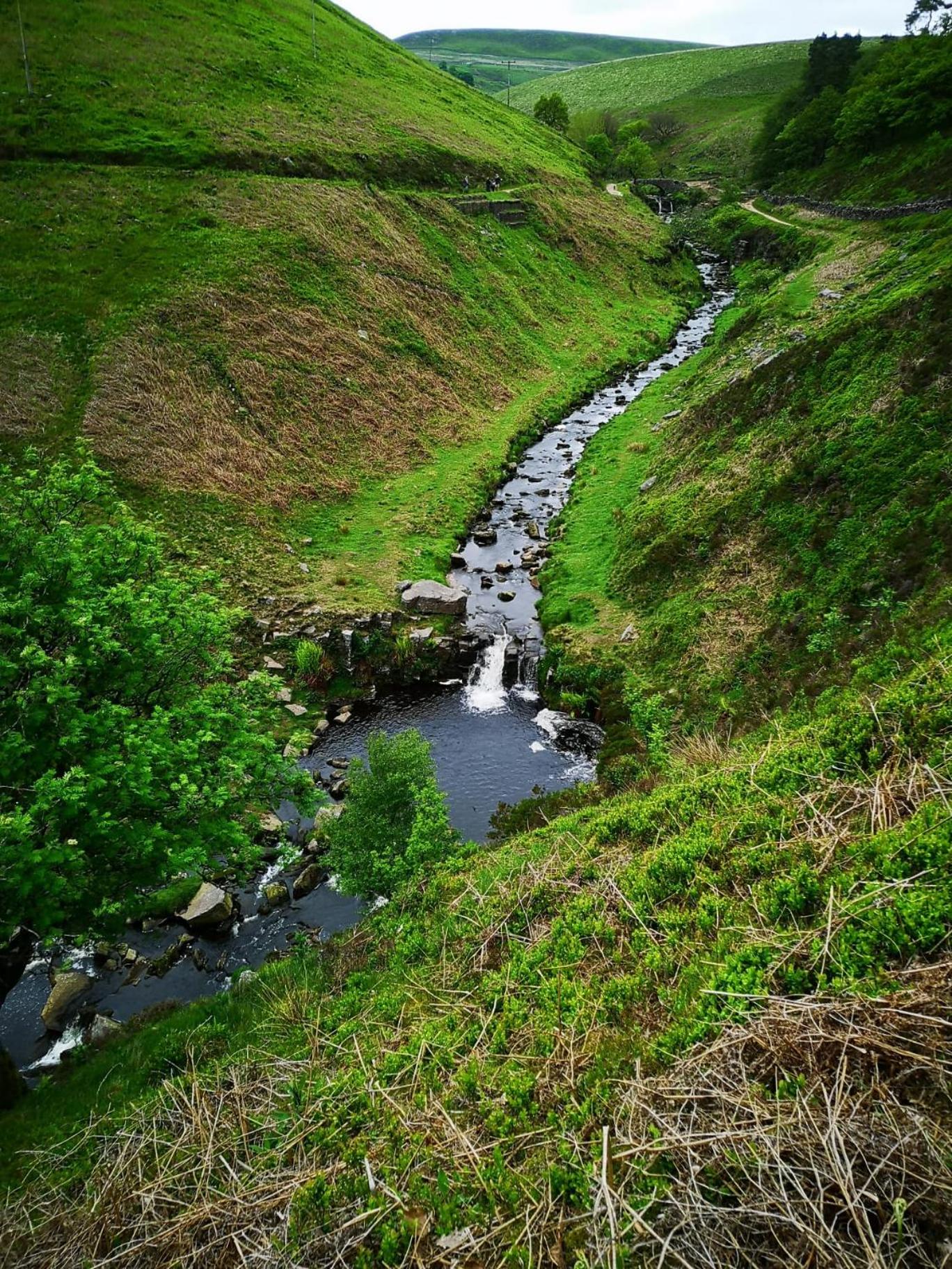 Photo 25