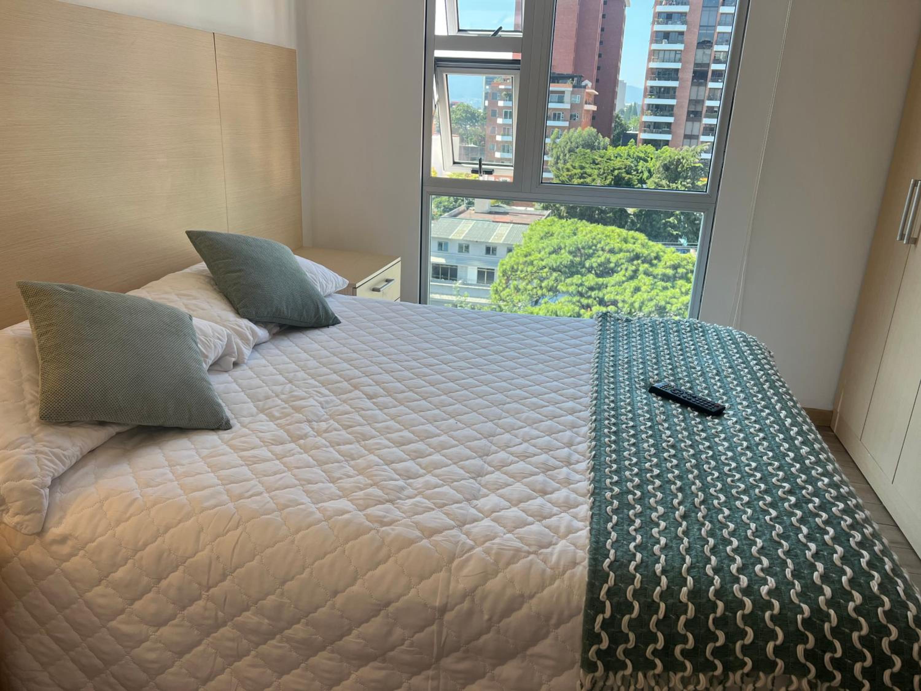 Cityhaus apartment zone 10 near hotel area view 4