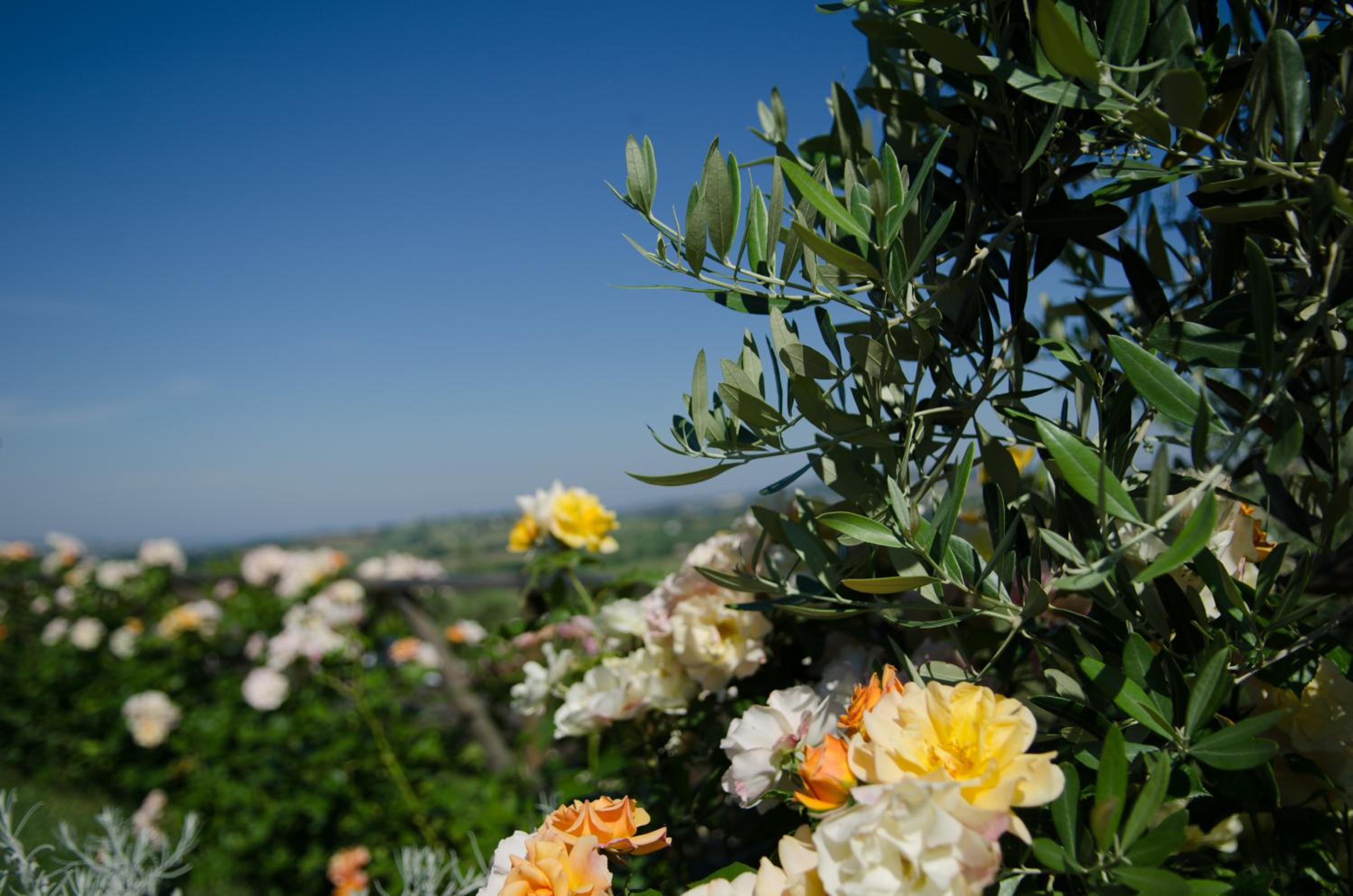 Agriturismo Al Crepuscolo