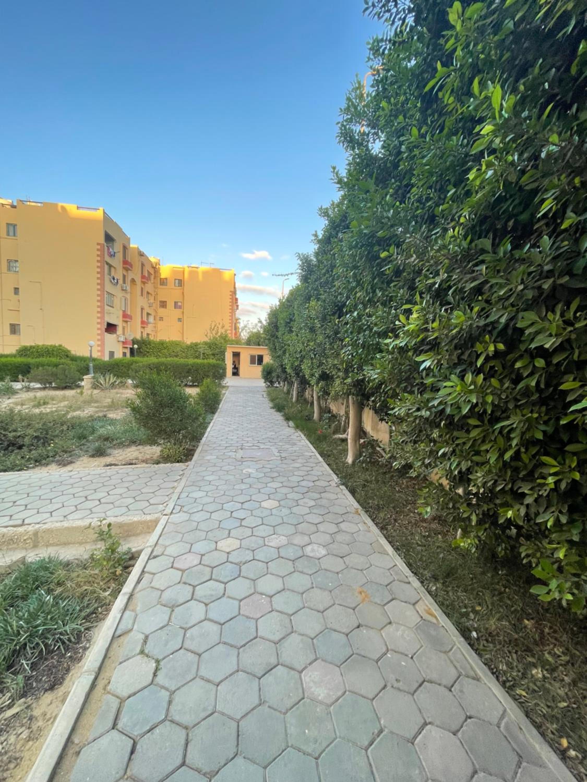 New cairo, Compund Enpii