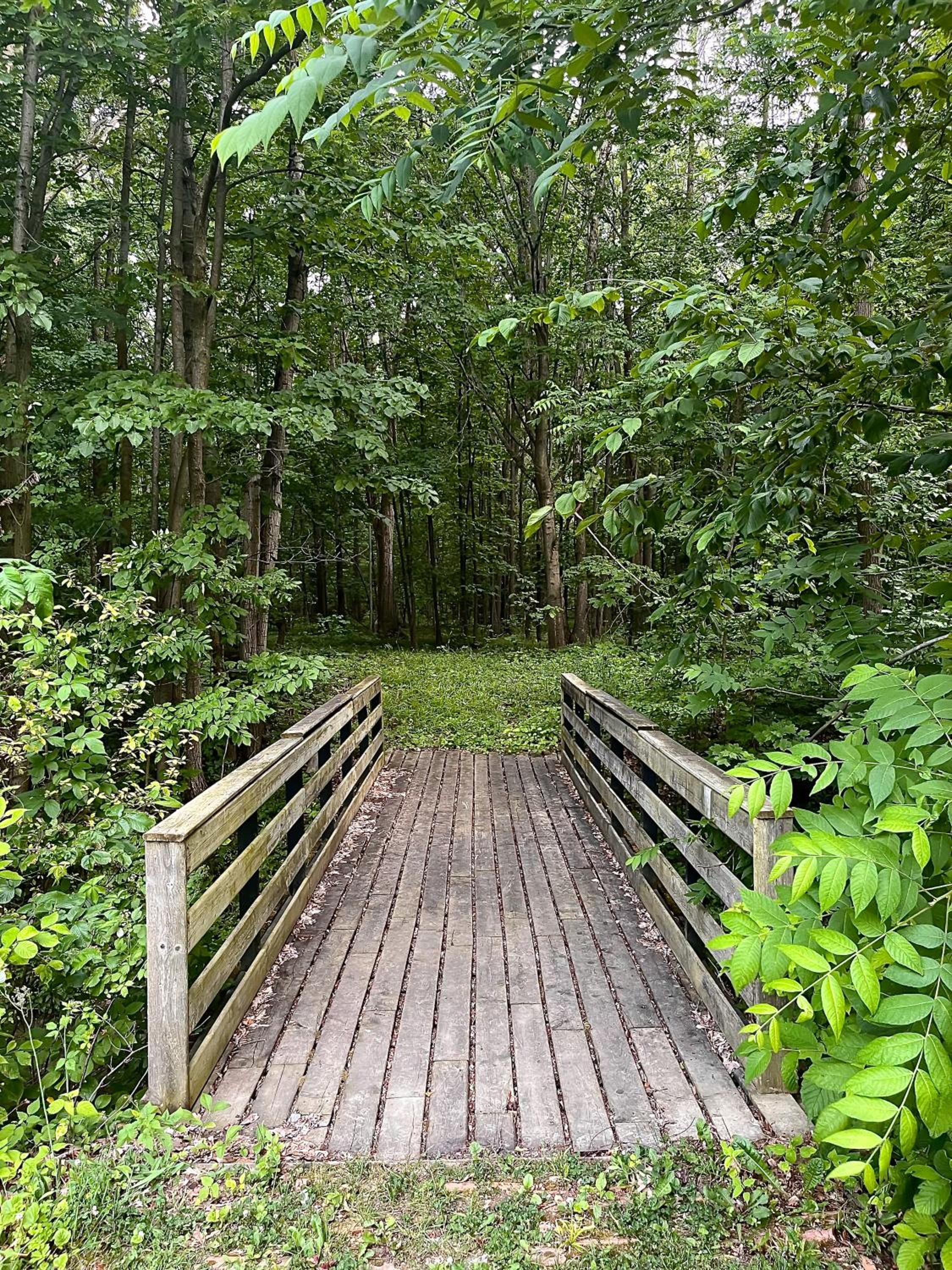 Kings Woods Lodge - Nature Resort & Venue in Wine Country