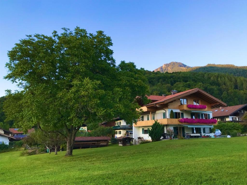 Ferienwohnung Am Nussbaum