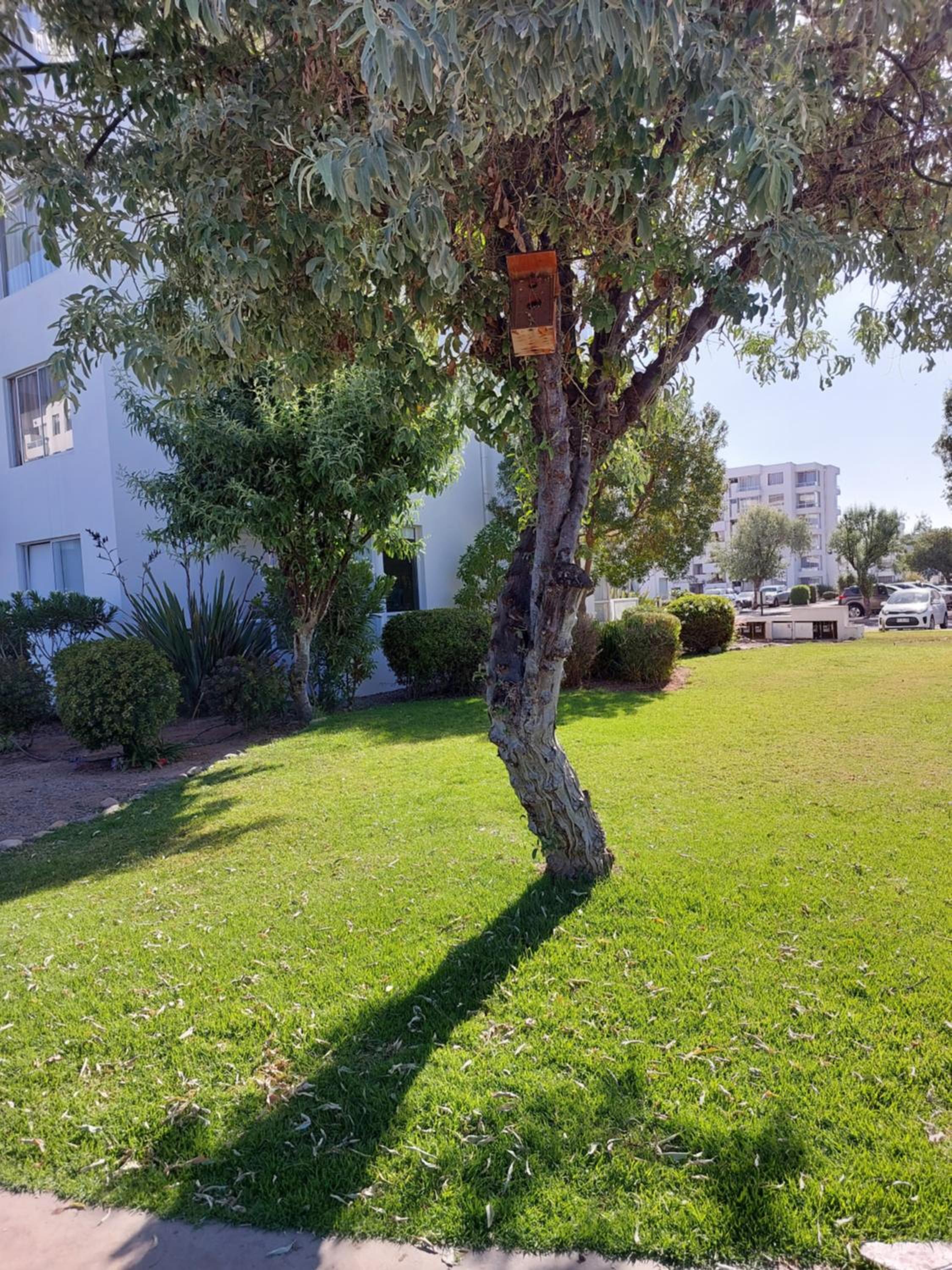 ARRIENDO DEPARTAMENTO DIARIO en LA SERENA CONDOMINIO AREAS VERDES, PISCINAS, ESTACIONAMIENTO, ETC