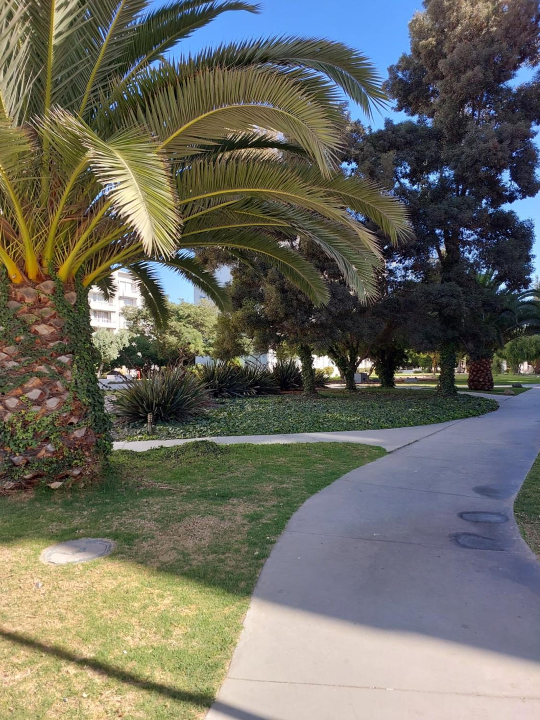 ARRIENDO DEPARTAMENTO DIARIO en LA SERENA CONDOMINIO AREAS VERDES, PISCINAS, ESTACIONAMIENTO, ETC