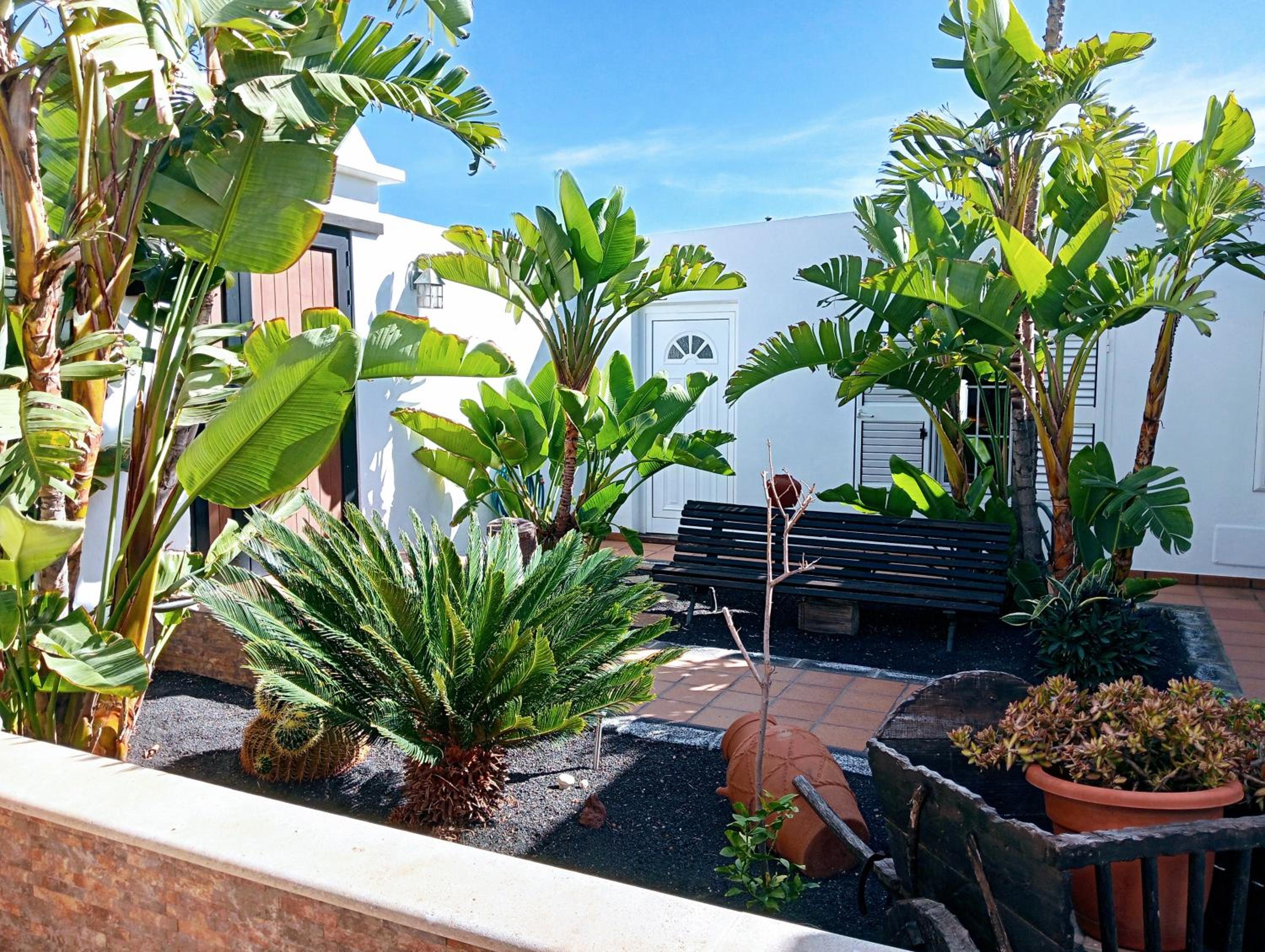 Casa Strelitzia