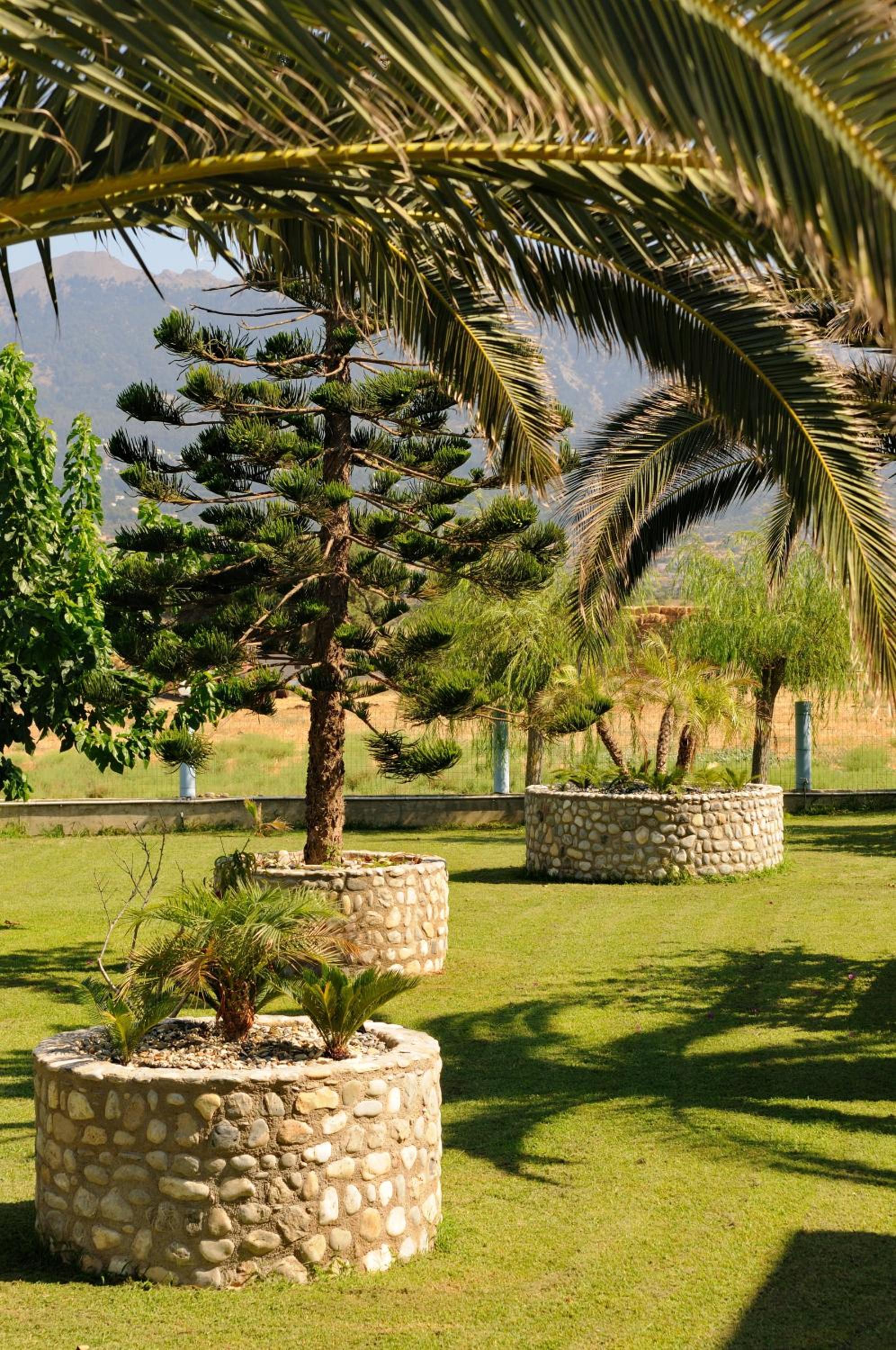 garden