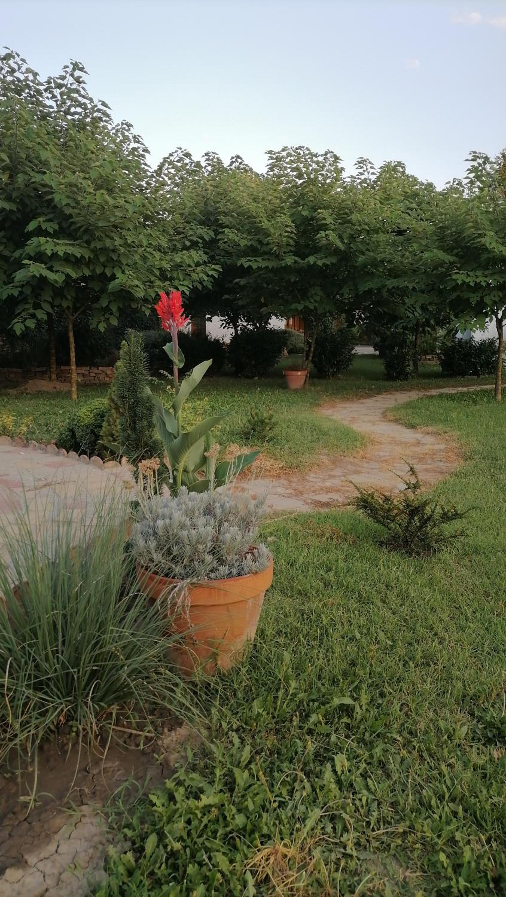 Photo 27