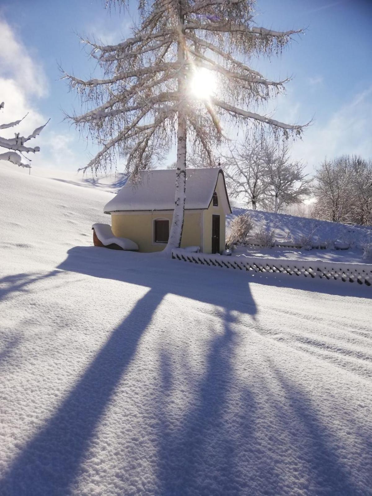 Alpenchalets Oberlaiming