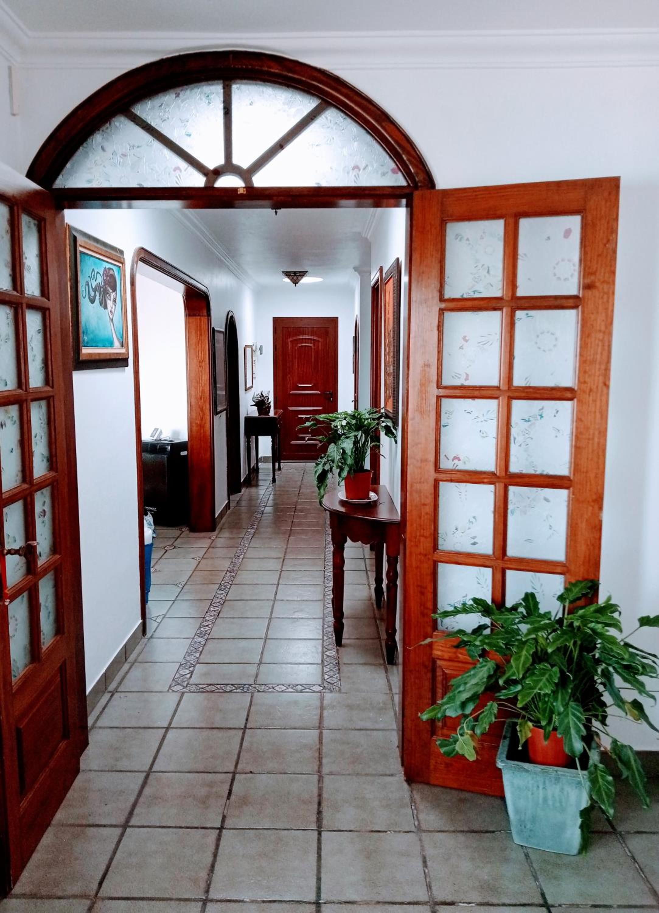 Casa Strelitzia