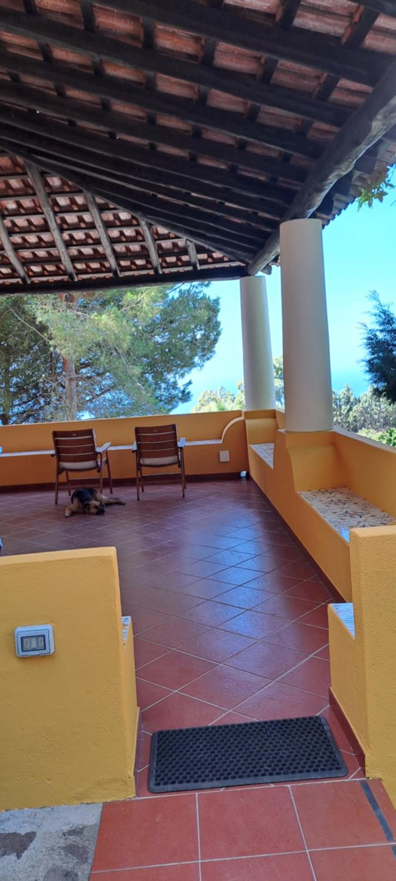 Nido del gheppio view 3