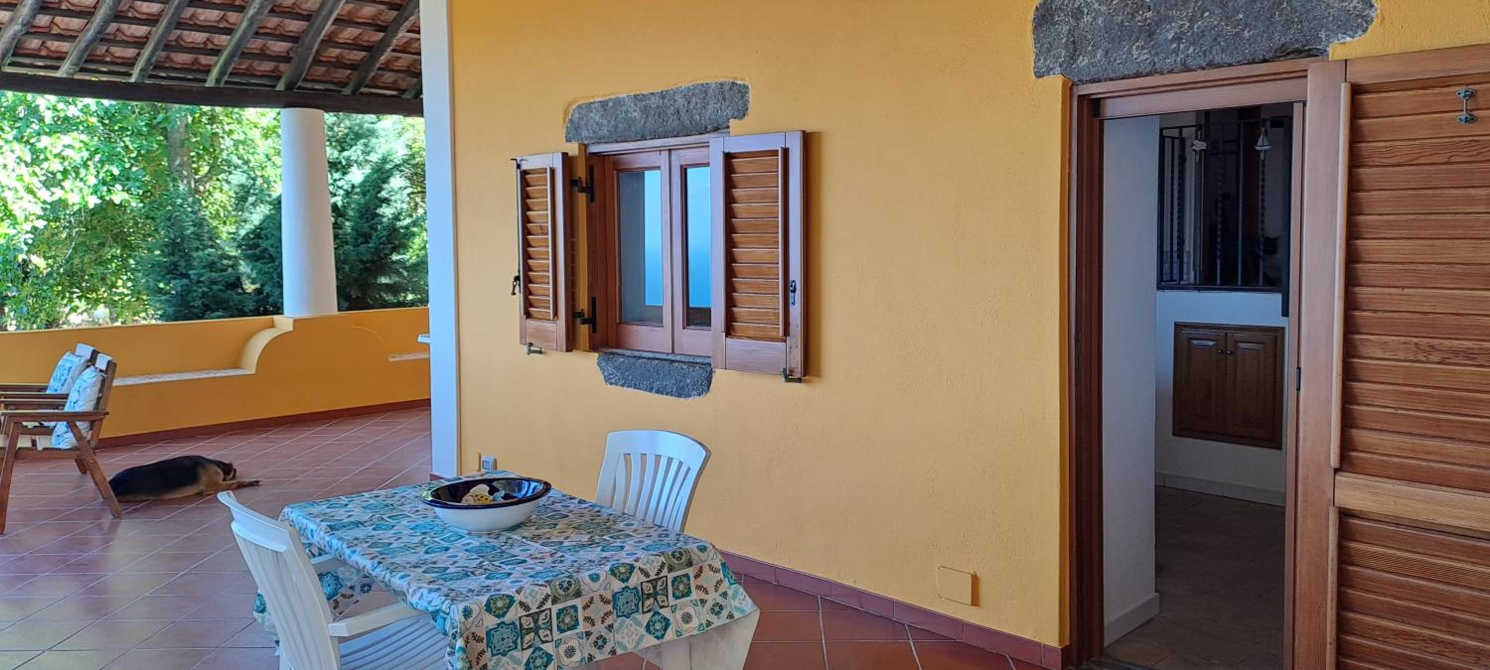 Nido del gheppio view 4