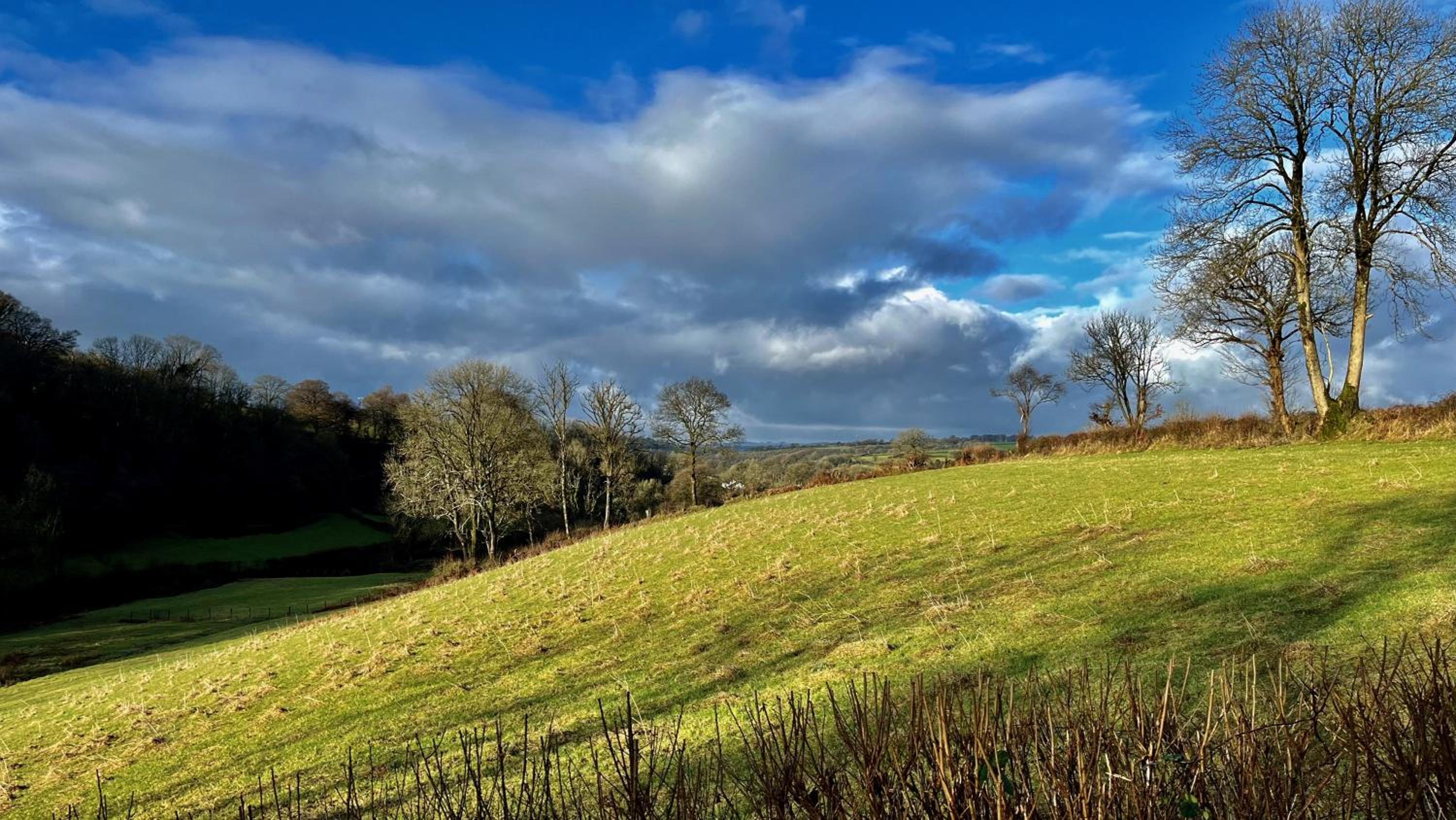 Cambrian Cottages - Charming Countryside Barn