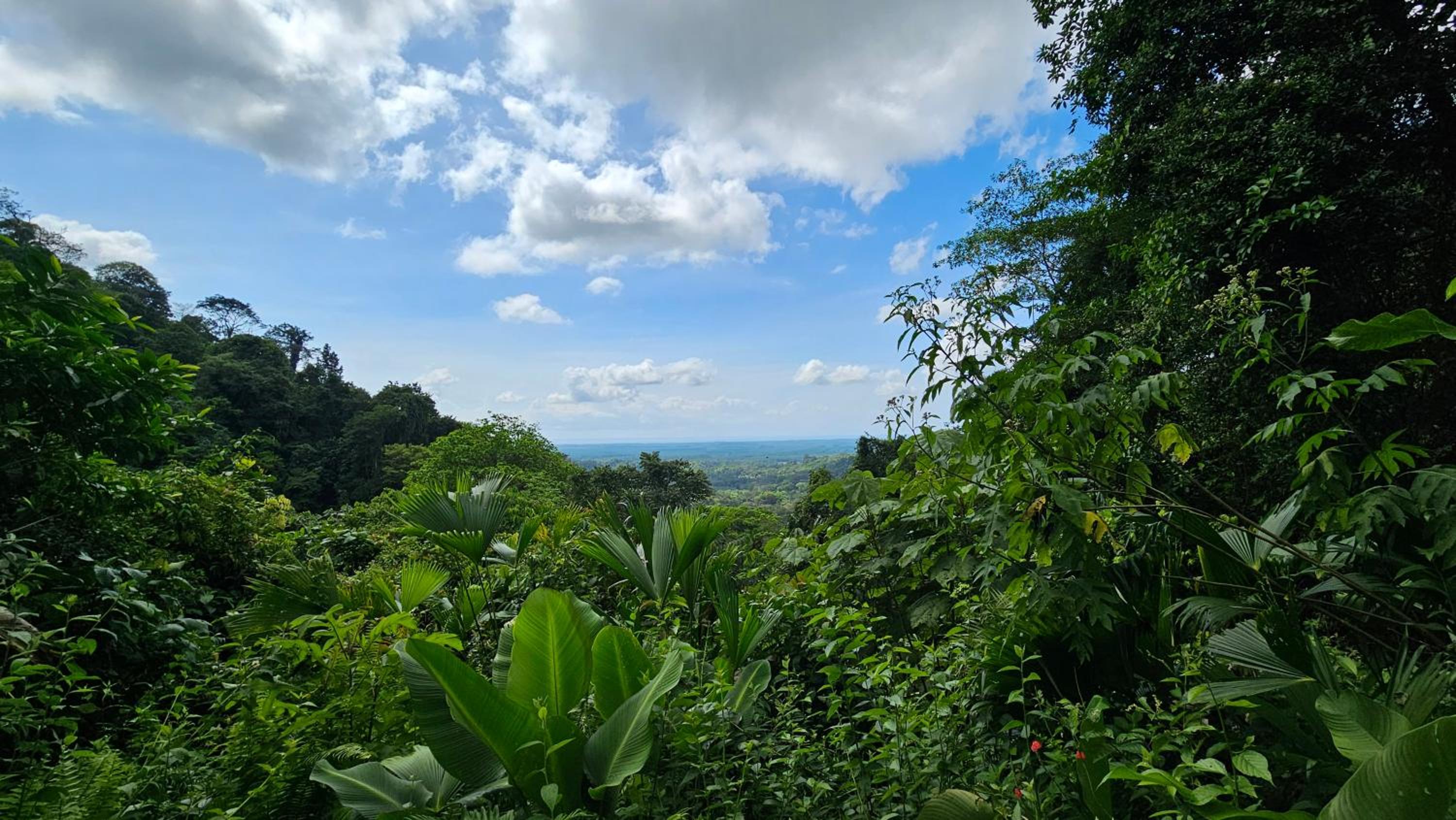 Casa Cariad Close to surfing lessons and more!