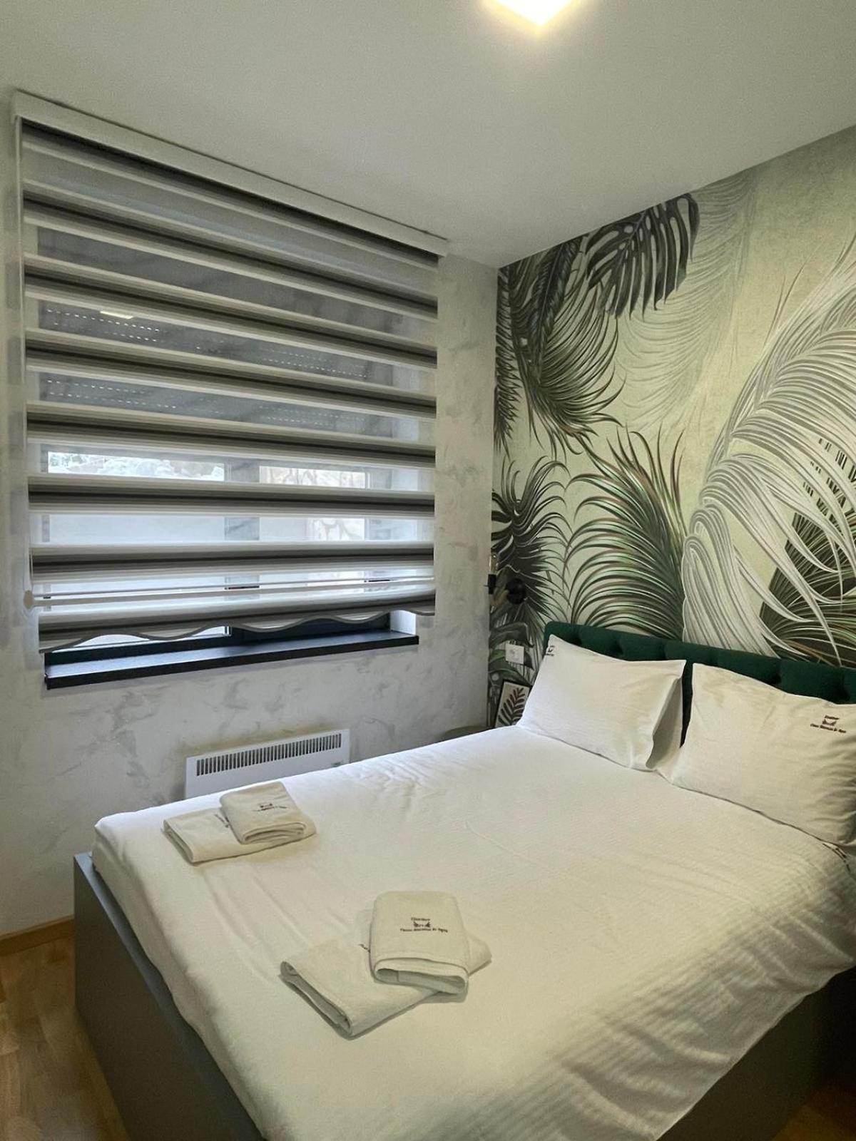 Magnum apartment Titova vila view 5