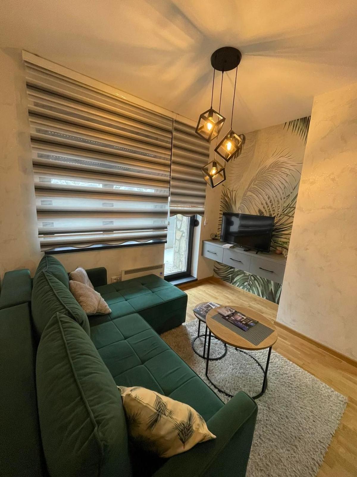 Magnum apartment Titova vila view 2