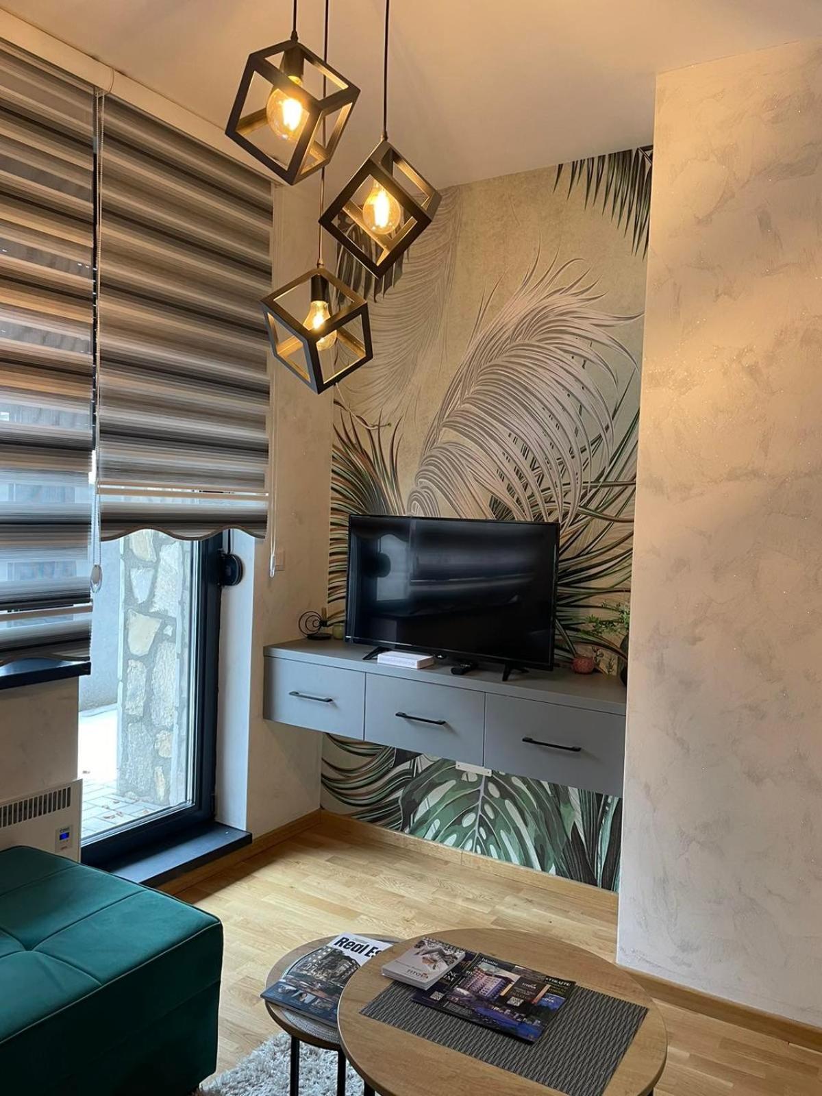 Magnum apartment Titova vila view 4