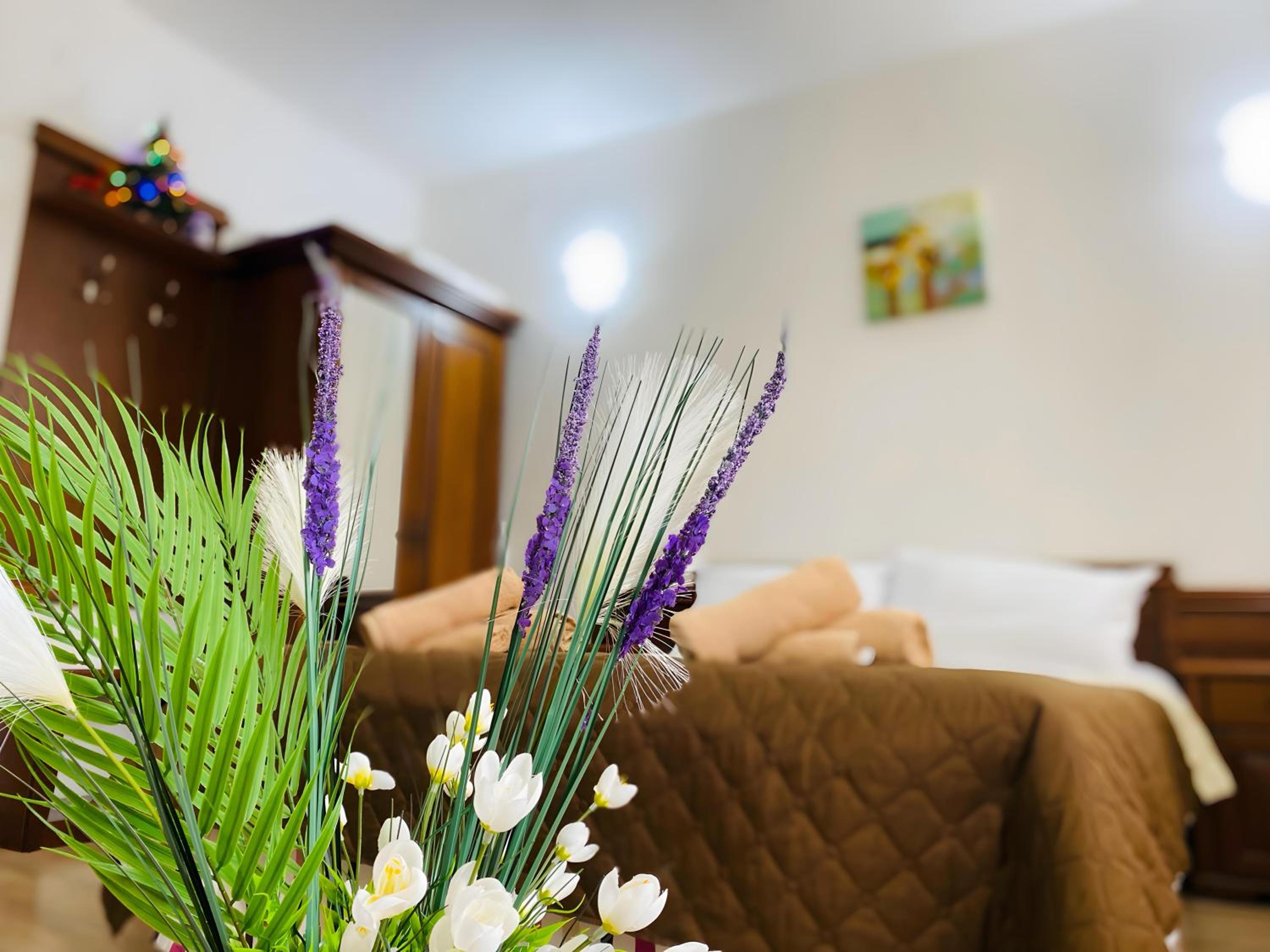 Studio Elegance Pamporovo