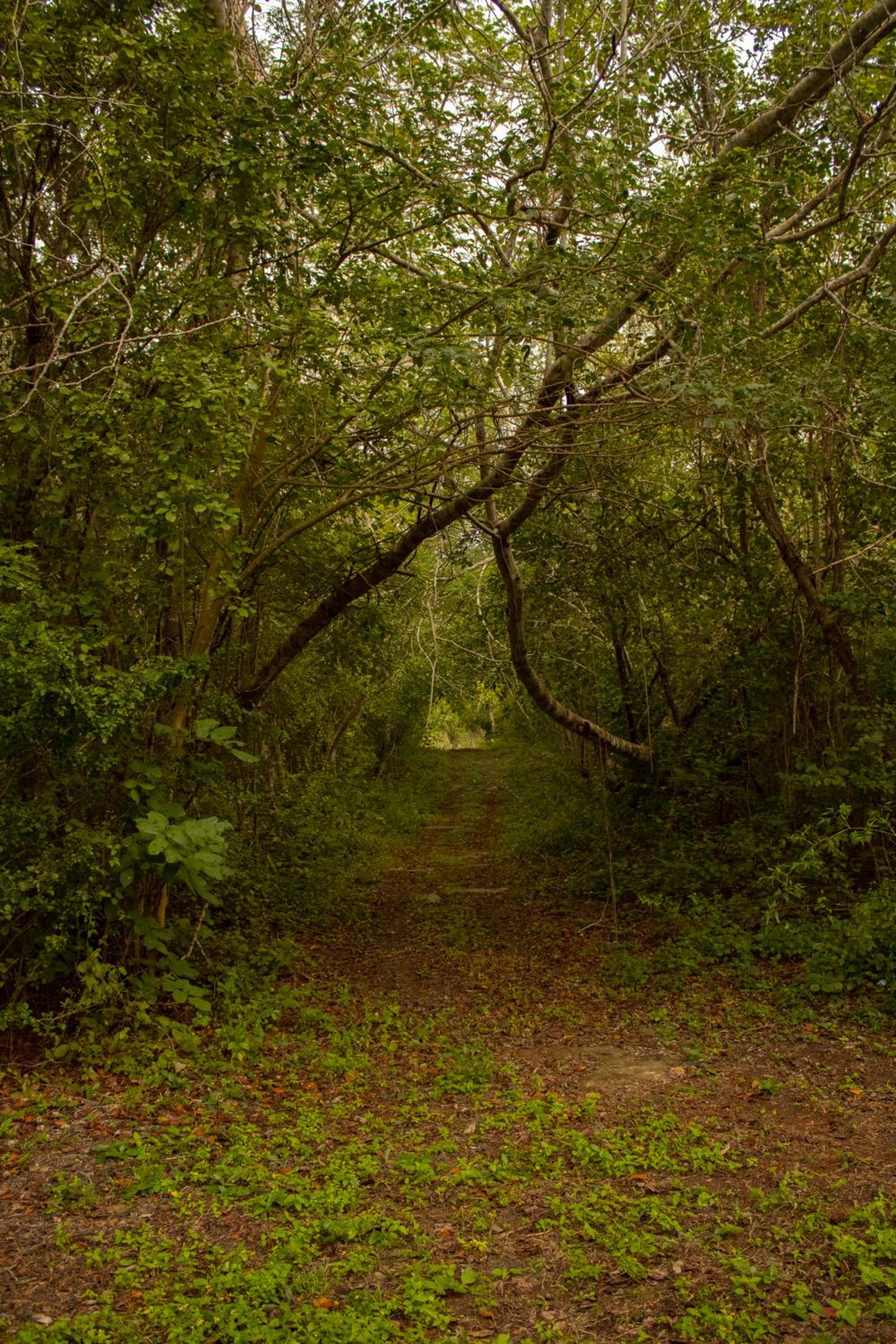 Photo 18
