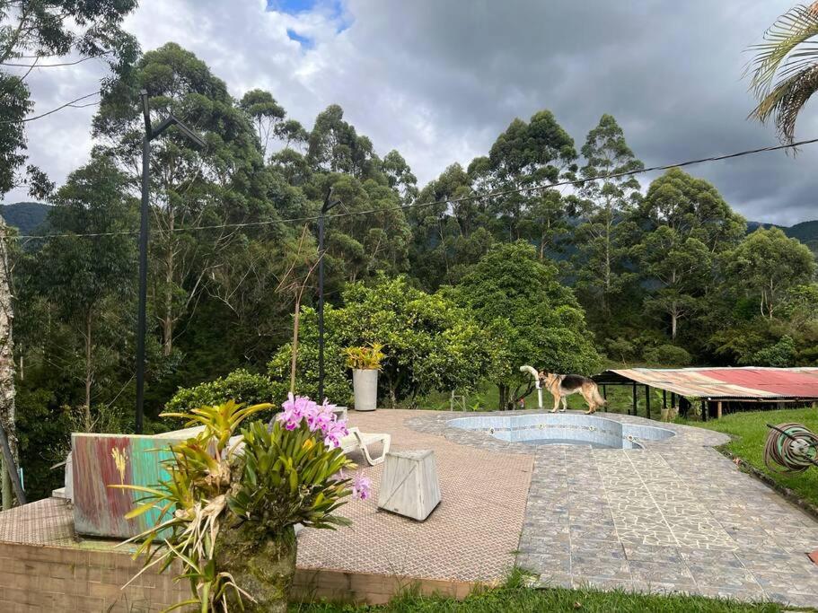 Green farm, with dry/wet, and near infrared sauna