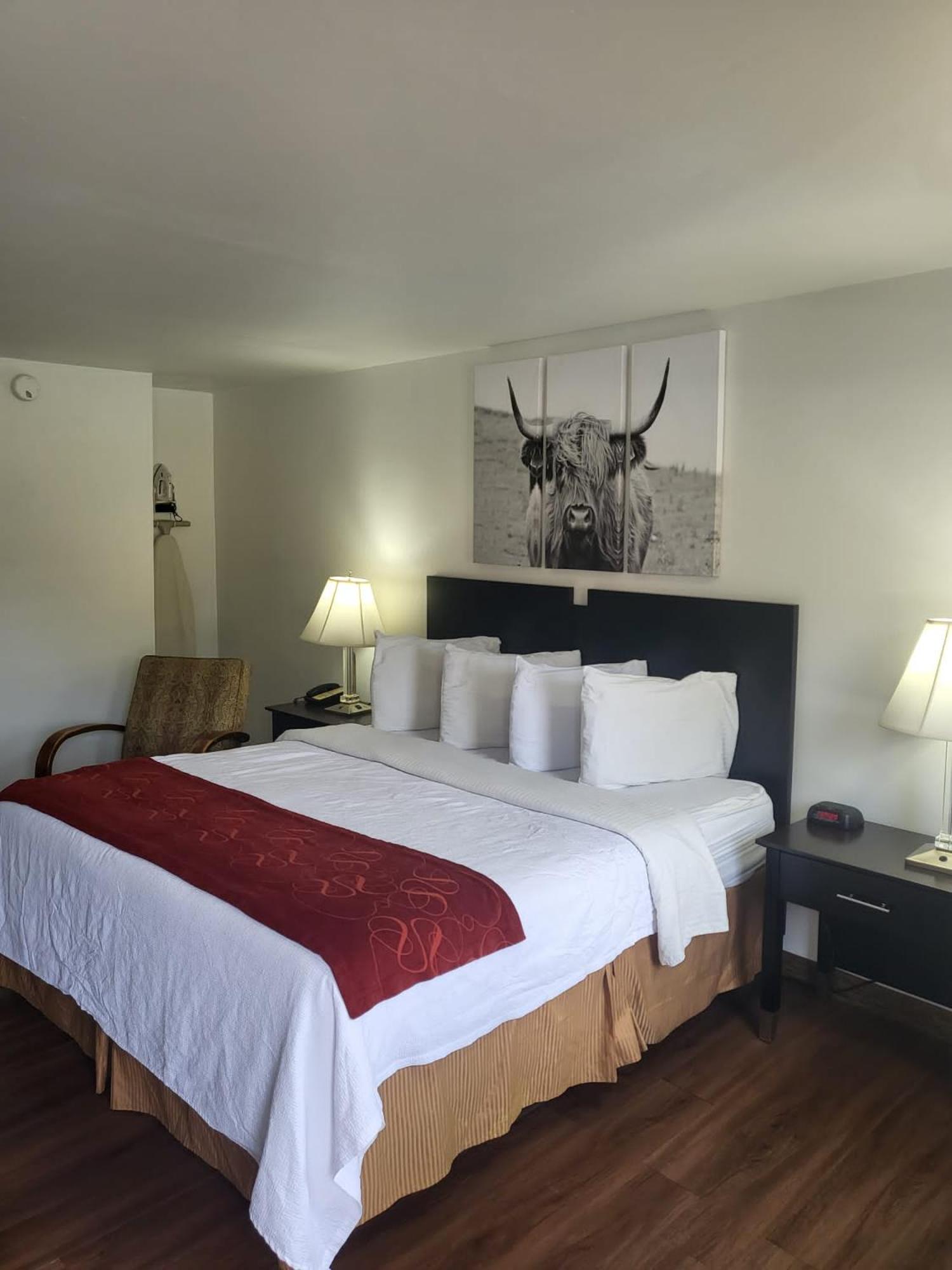 Pinetree Inn, Billede 26