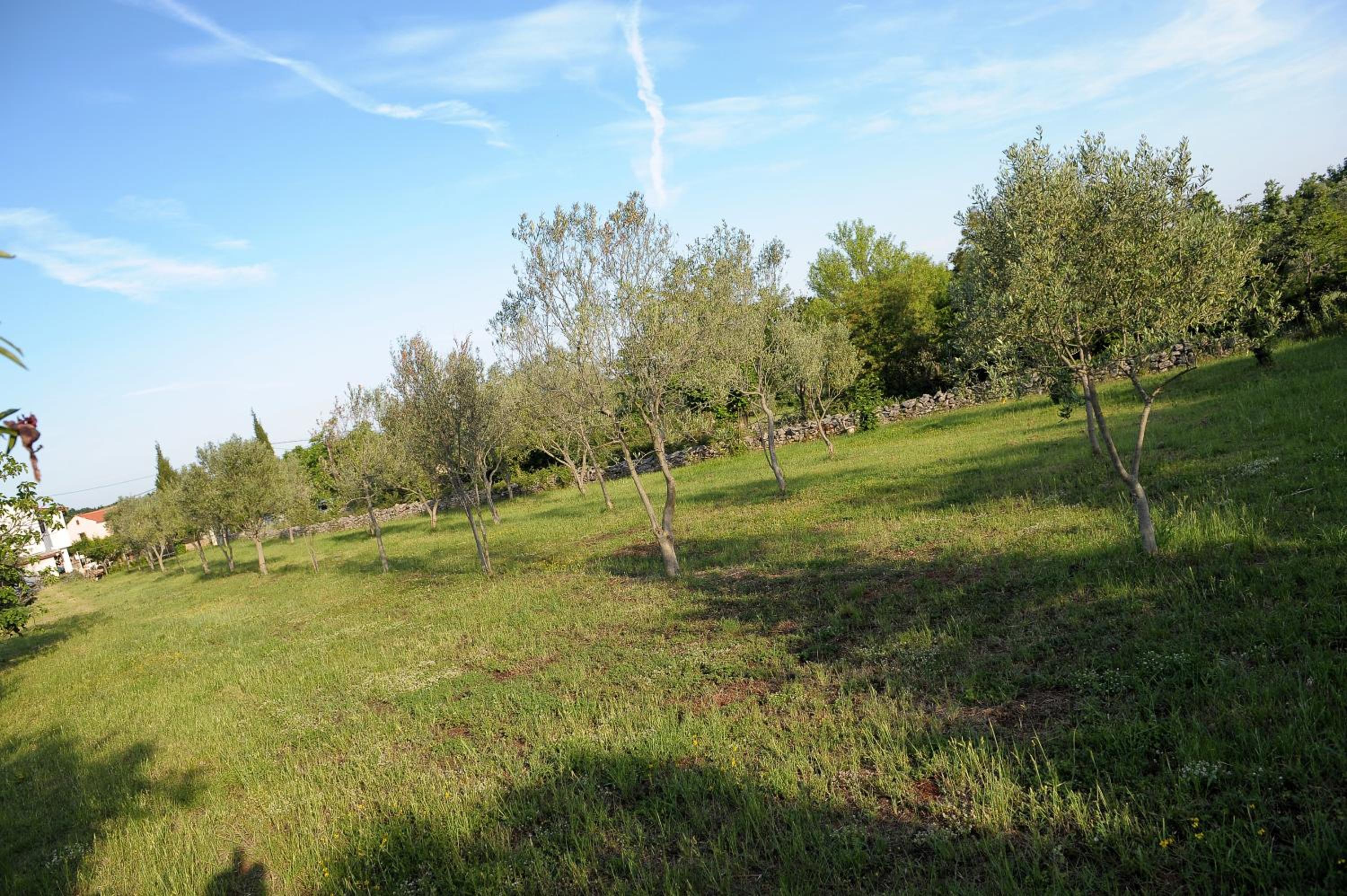 Photo 30