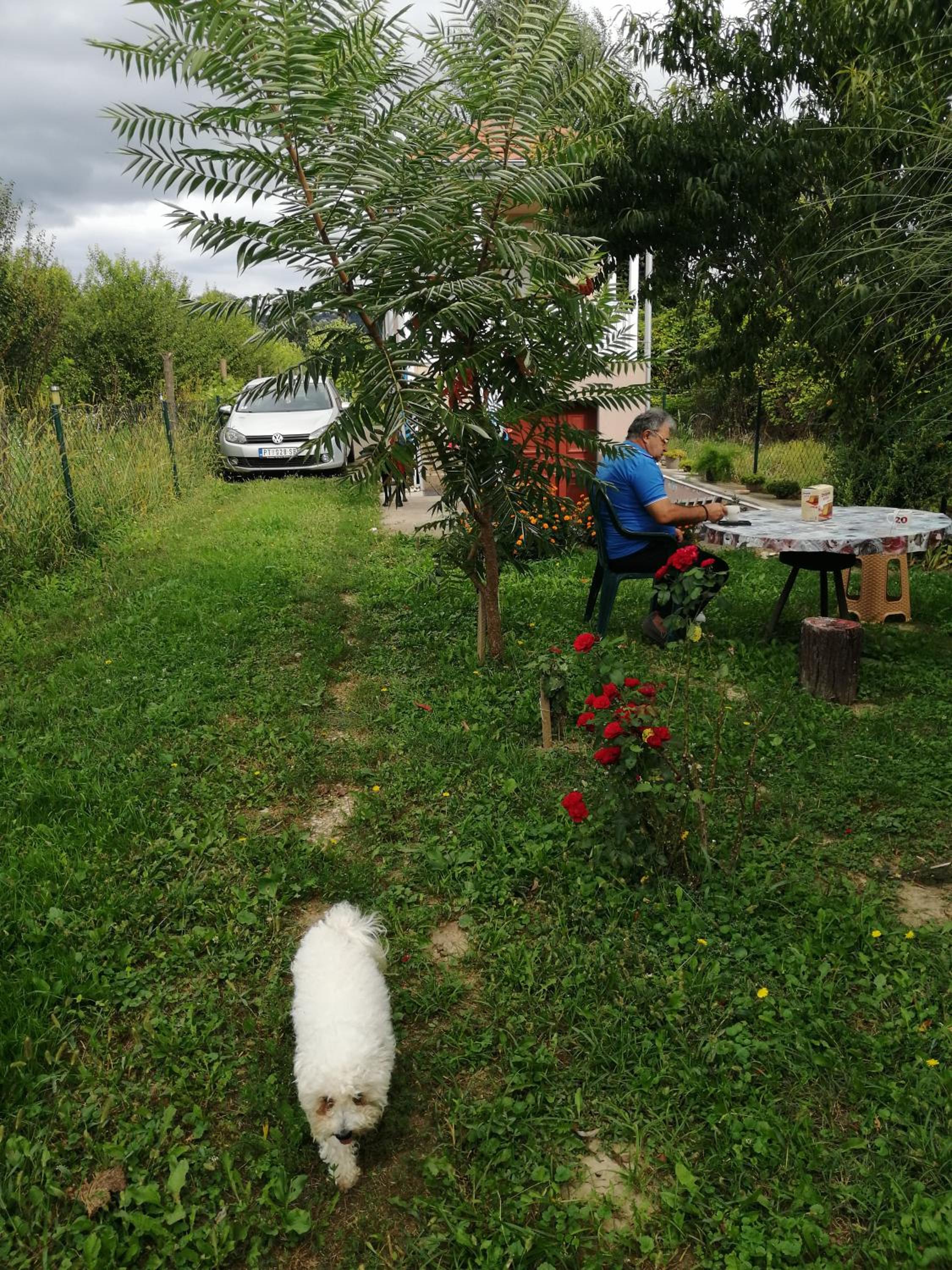 Photo 14